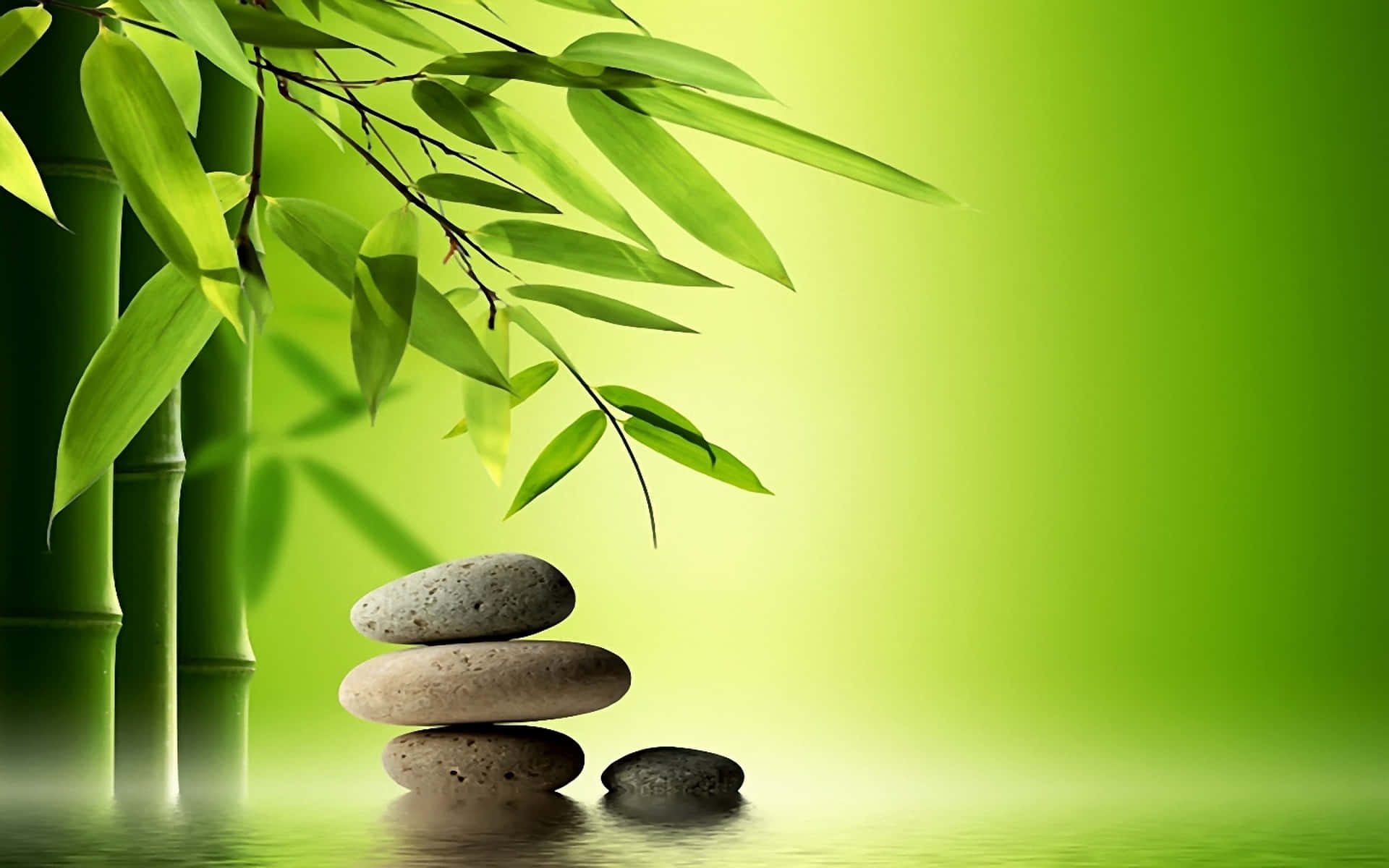禪 桌布 壁紙 — 光滑的石頭堆疊在竹莖和葉子旁邊，放在柔光下反射的綠色表面上。