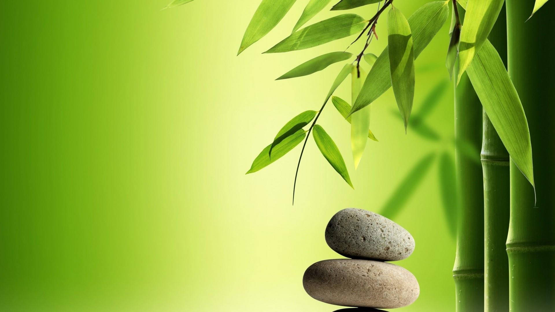 禪 桌布 壁紙 — 光滑的石頭堆疊在鮮綠的竹葉旁，背景是柔和的漸變色。