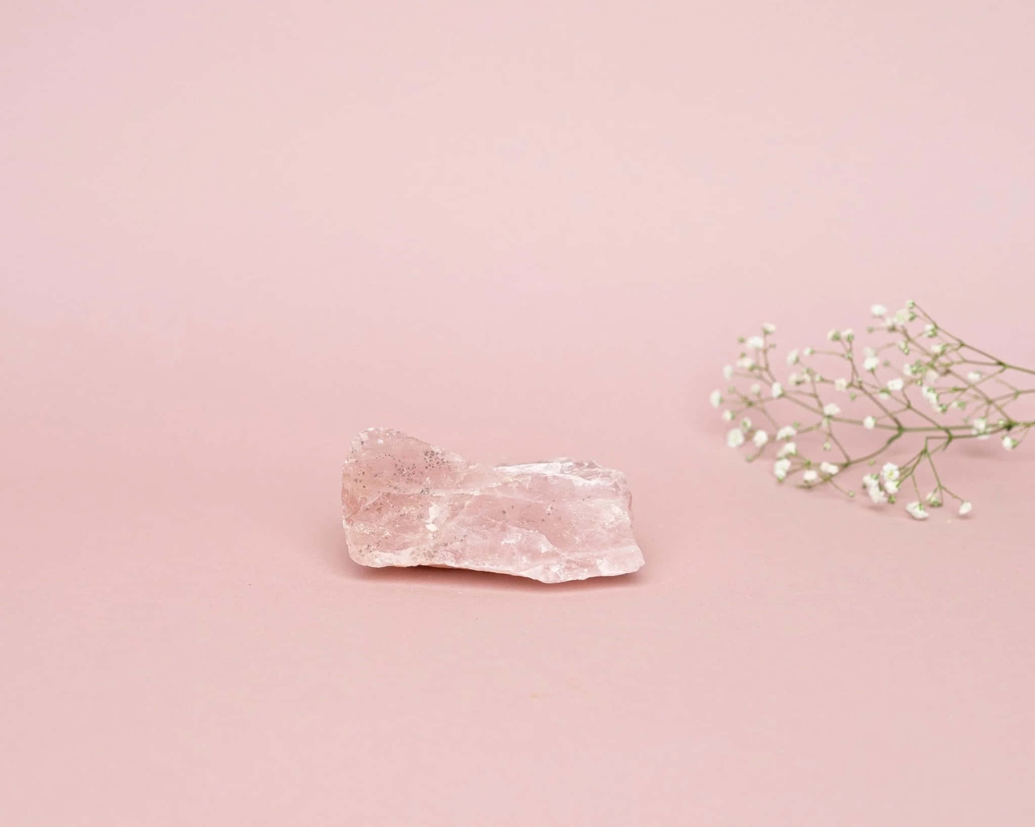 Pink Crystal Quartz 桌布 壁紙 — 光滑的粉紅玫瑰石英晶體與精緻的滿天星花朵一起放在柔和的腮紅色背景上。