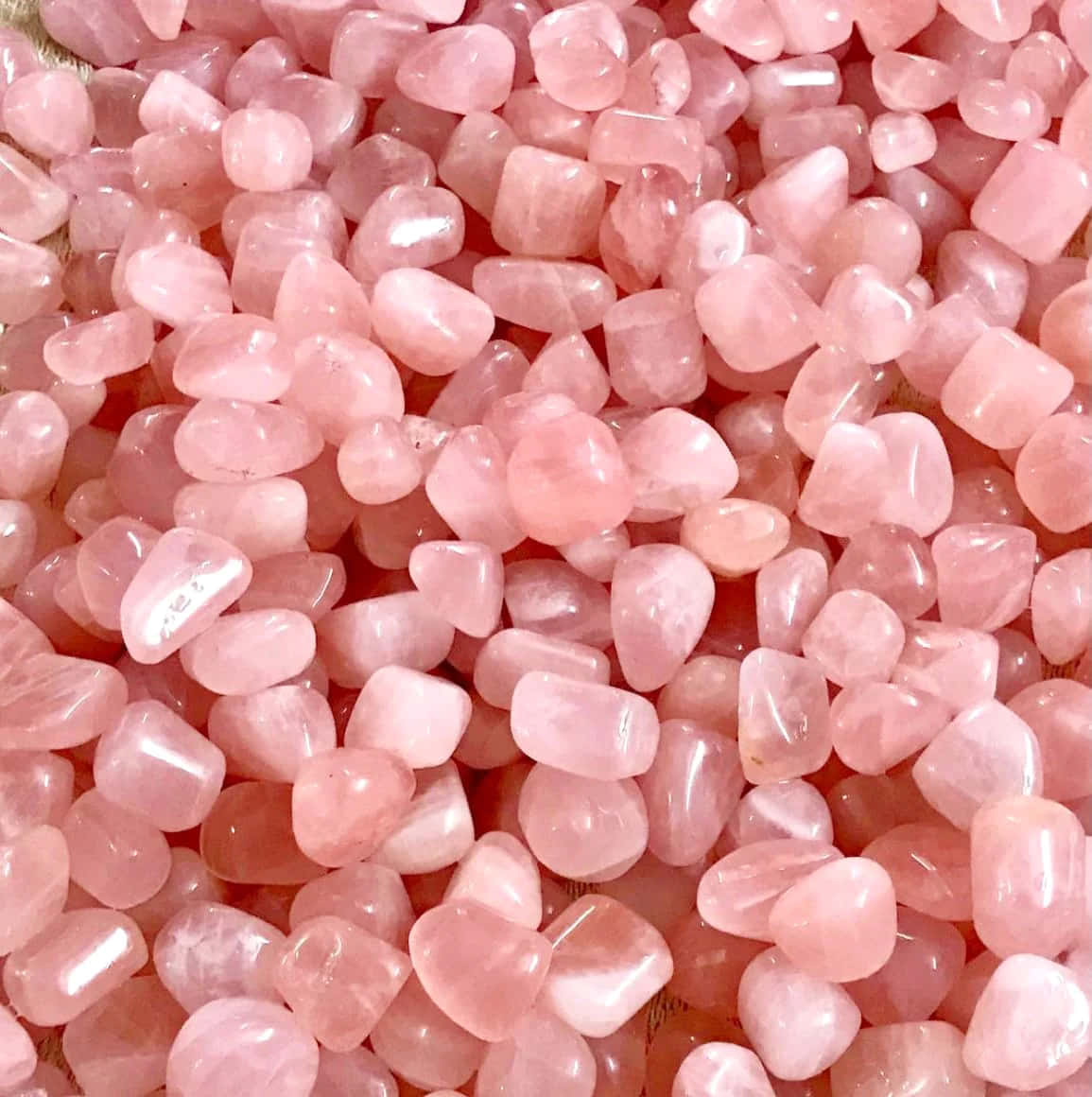 Pink Crystal Quartz 桌布 壁紙 — 光滑粉紅玫瑰石英滾磨石的近距離特寫，在柔和光線下閃閃發光。