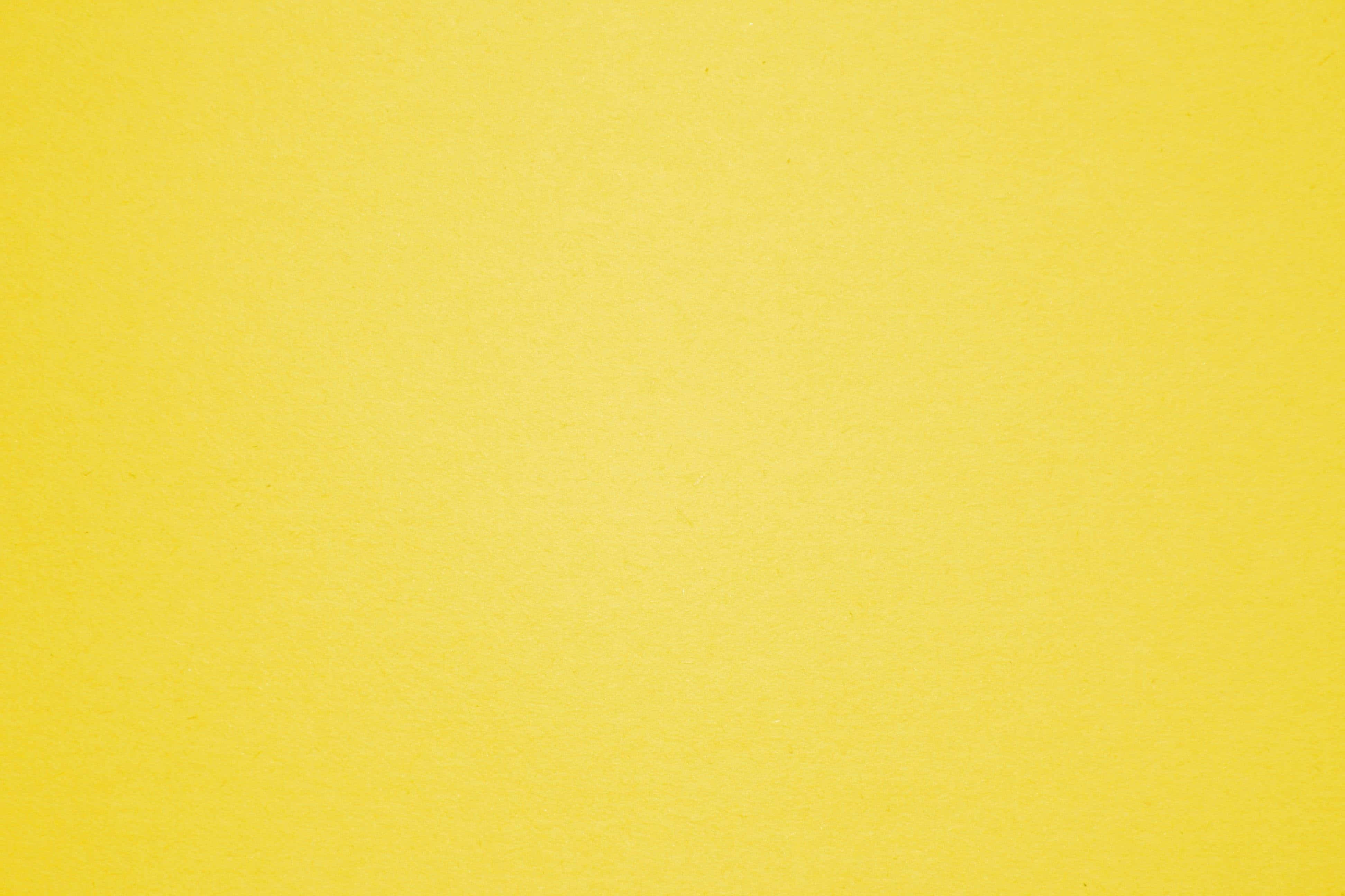 Cool Yellow 桌布 壁紙 — 光滑紋理黃色紙張表面，帶有細微顆粒和均勻照明。