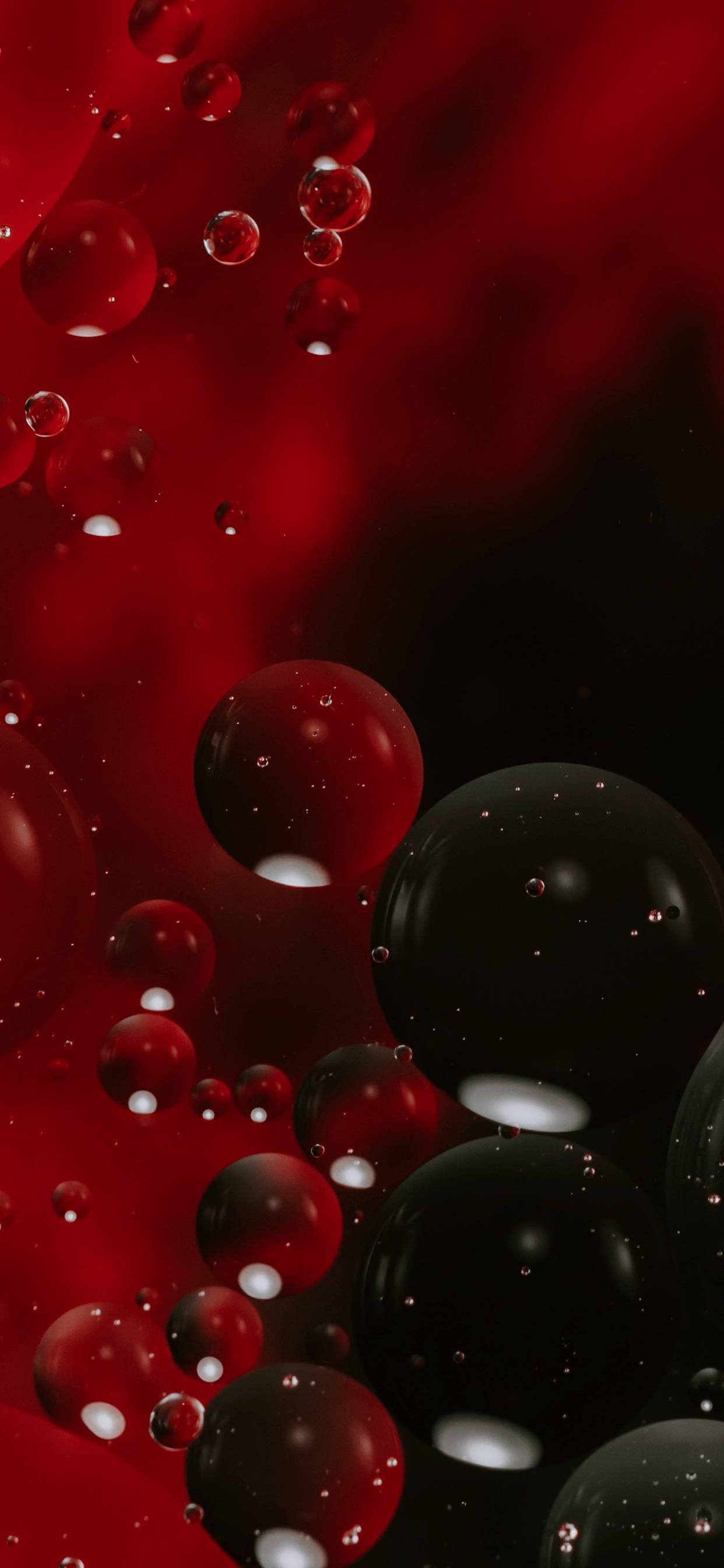 Black And Red 桌布 壁紙 — 光澤的紅色和黑色氣泡漂浮在漸變紅色背景上，帶有柔和的光線反射。