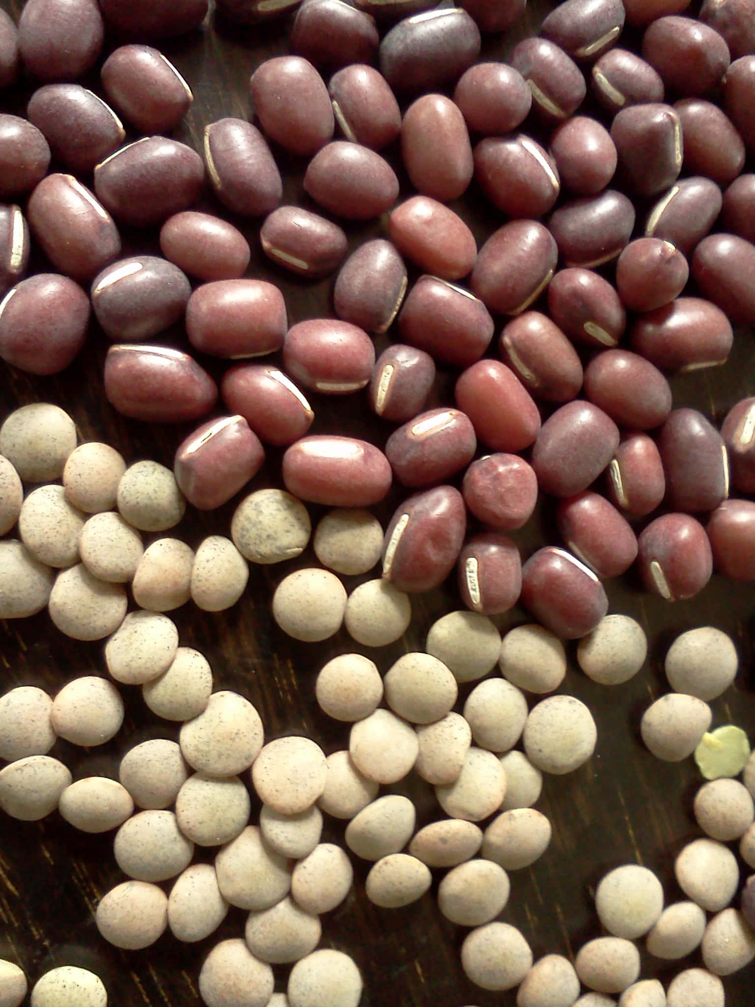 beans 桌布 壁紙 — 光澤紅腰豆和淺色斑點扁豆散落在深色木質表面上的特寫。