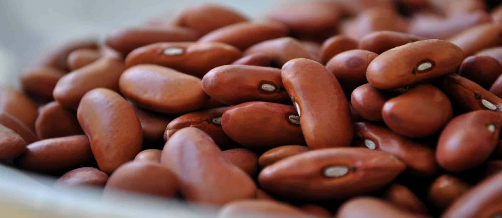 beans 桌布 壁紙 — 光澤紅褐色腰豆堆疊在一起的近距離特寫，背景柔和模糊。