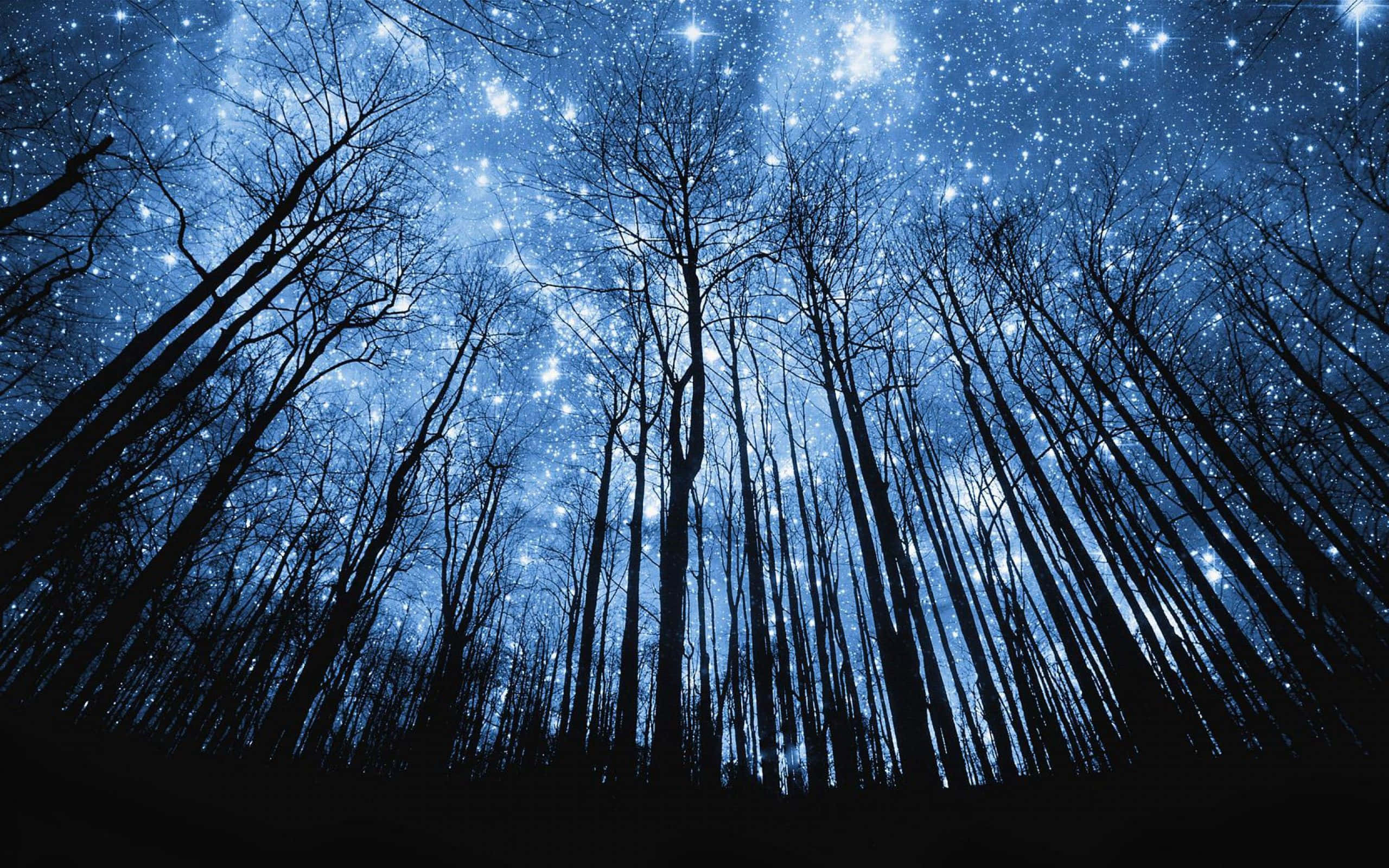 Beautiful Sky 桌布 壁紙 — 光禿禿的樹木剪影向上伸展，朝向閃耀著宇宙藍光的生動星空夜空。