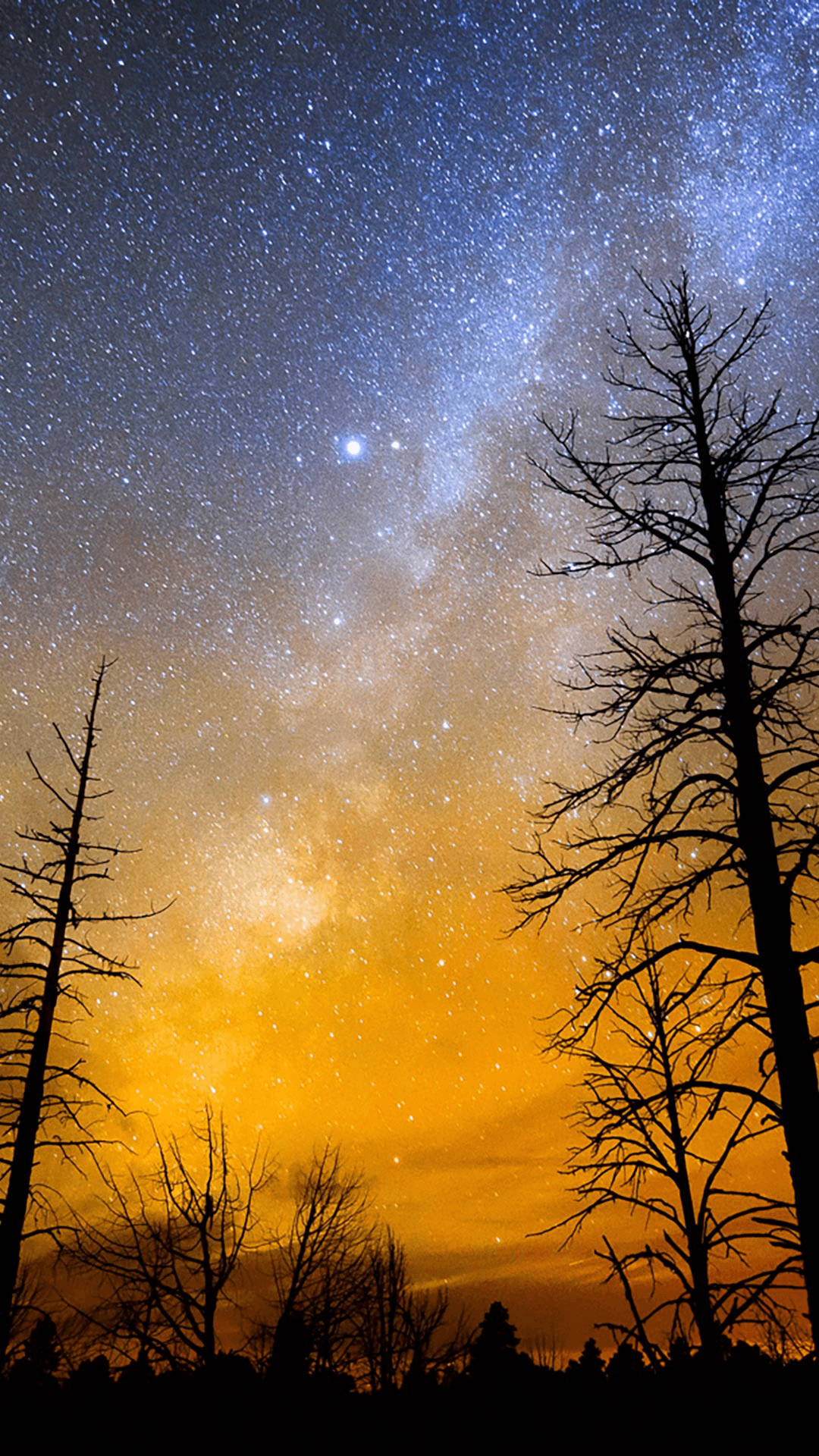 Starry Sky 桌布 壁紙 — 光禿禿的樹木剪影框出了一片令人嘆為觀止的星空，閃爍的銀河在溫暖的橙色地平線上拱起。
