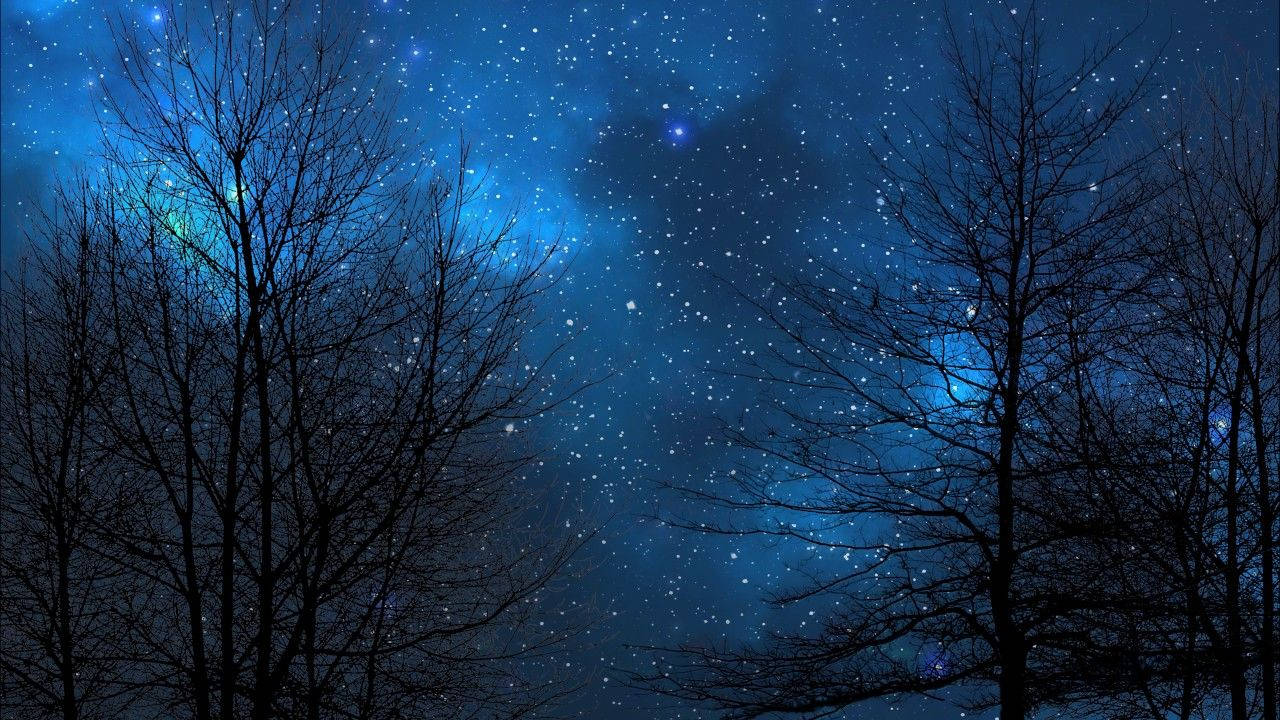 夜空 桌布 壁紙 — 光禿禿的樹木剪影襯托出充滿活力的深藍色星空，星雲閃爍。