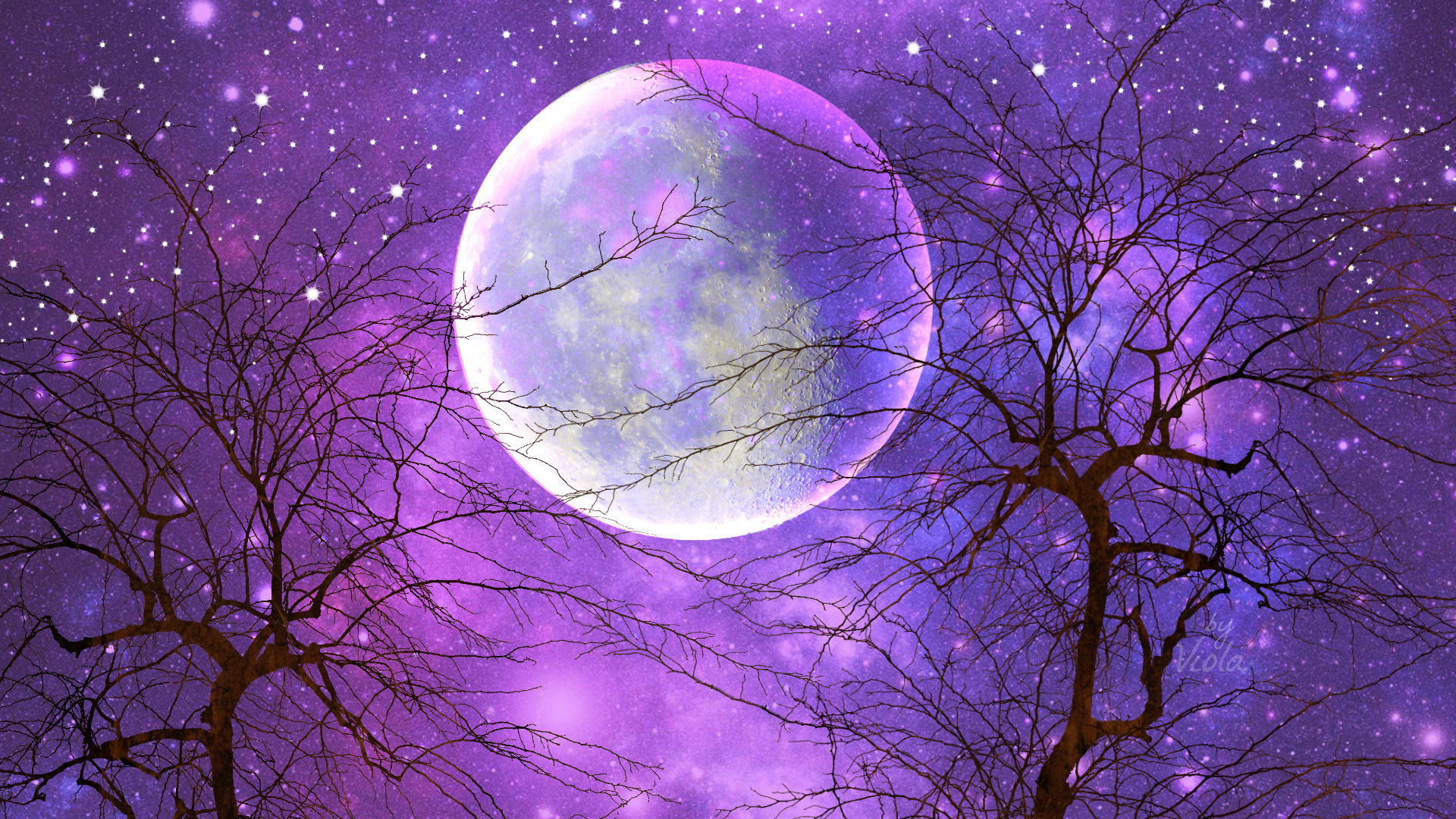 Moon Night Sky 桌布 壁紙 — 光禿禿的樹木剪影襯托著一輪發光的滿月，背景是充滿活力的紫色星空。