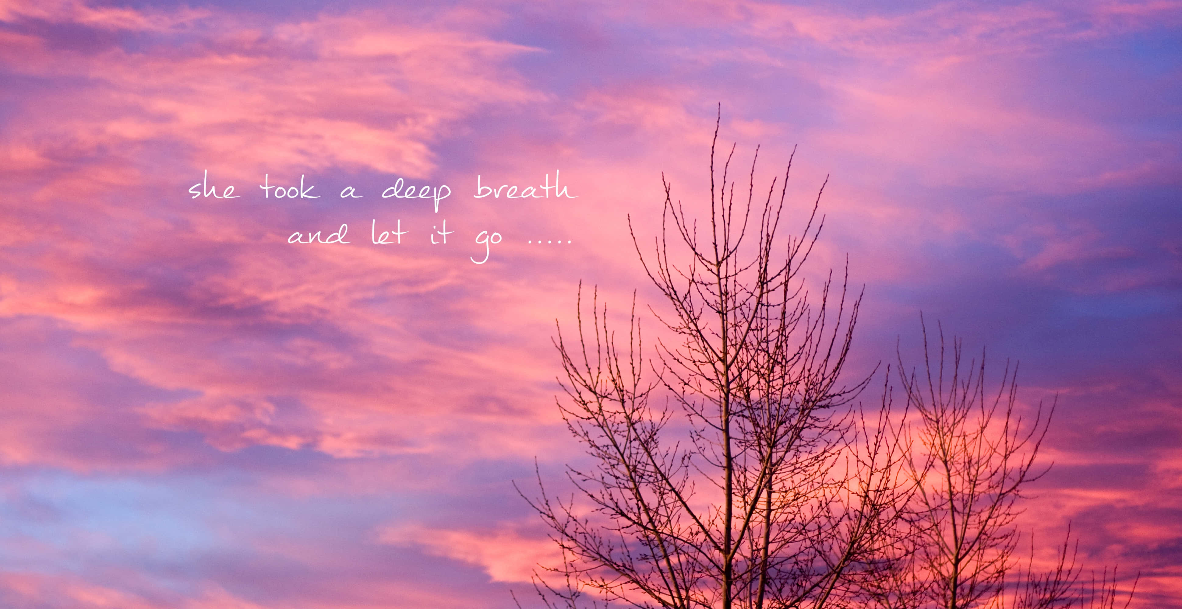 Sunset Aesthetic 桌布 壁紙 — 光禿禿的樹枝剪影伸入充滿活力的粉紅色和紫色日落天空，伴隨著柔軟的雲朵和手寫文字。