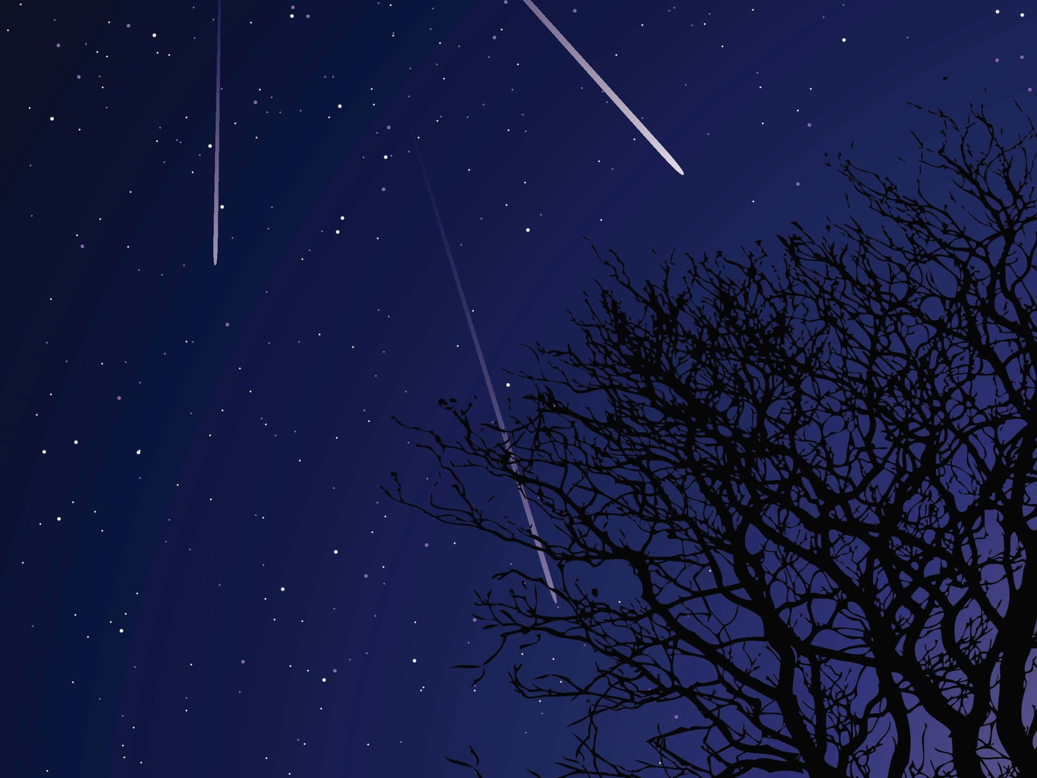 meteor 桌布 壁紙 — 光禿禿的樹枝剪影伸入深藍色的夜空，夜空中有流星劃過和閃爍的星星。
