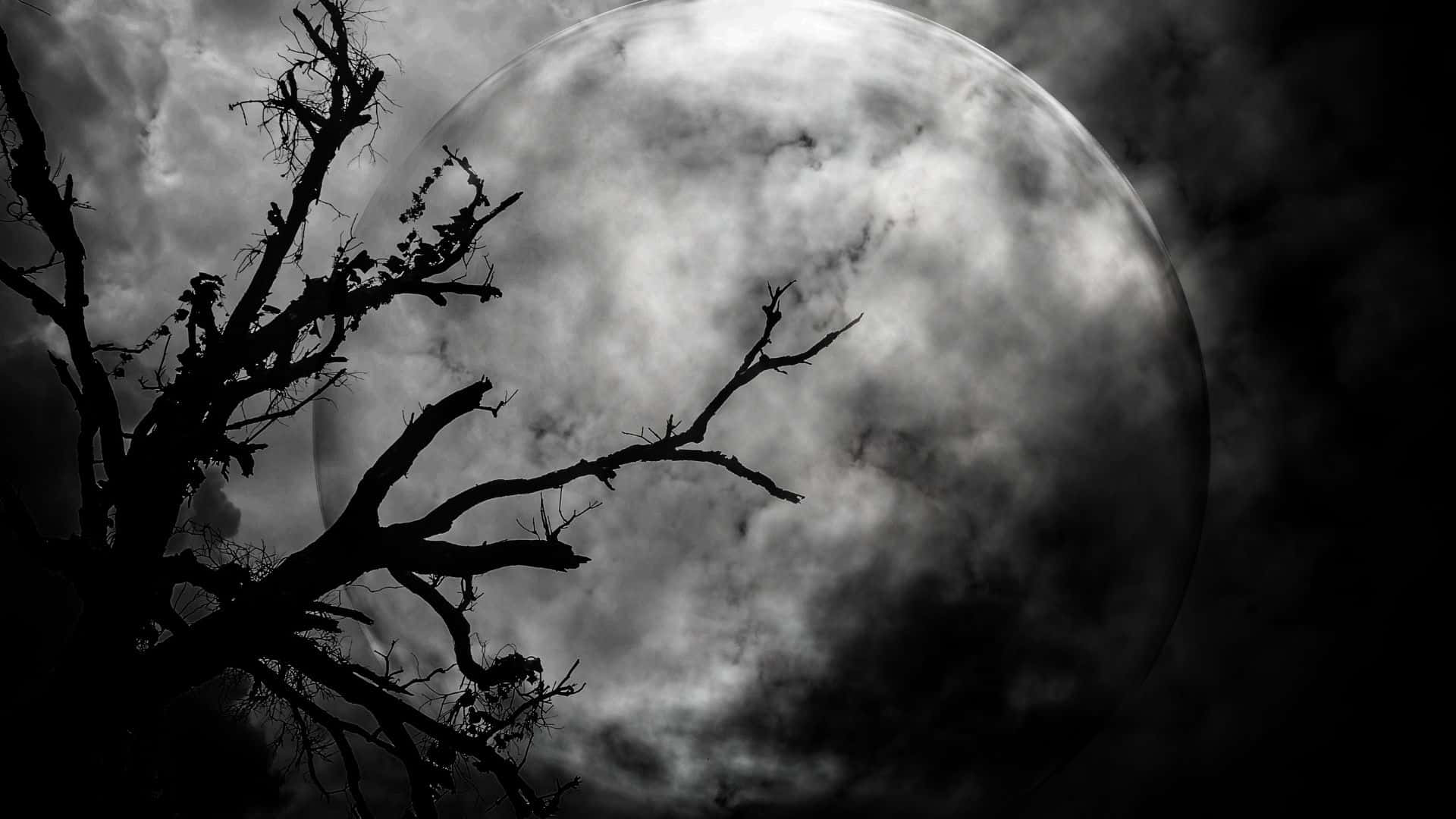 Moon Lighting 桌布 壁紙 — 光禿禿的樹枝的詭異剪影在單色夜空中伸展，映襯著巨大的多雲月亮。