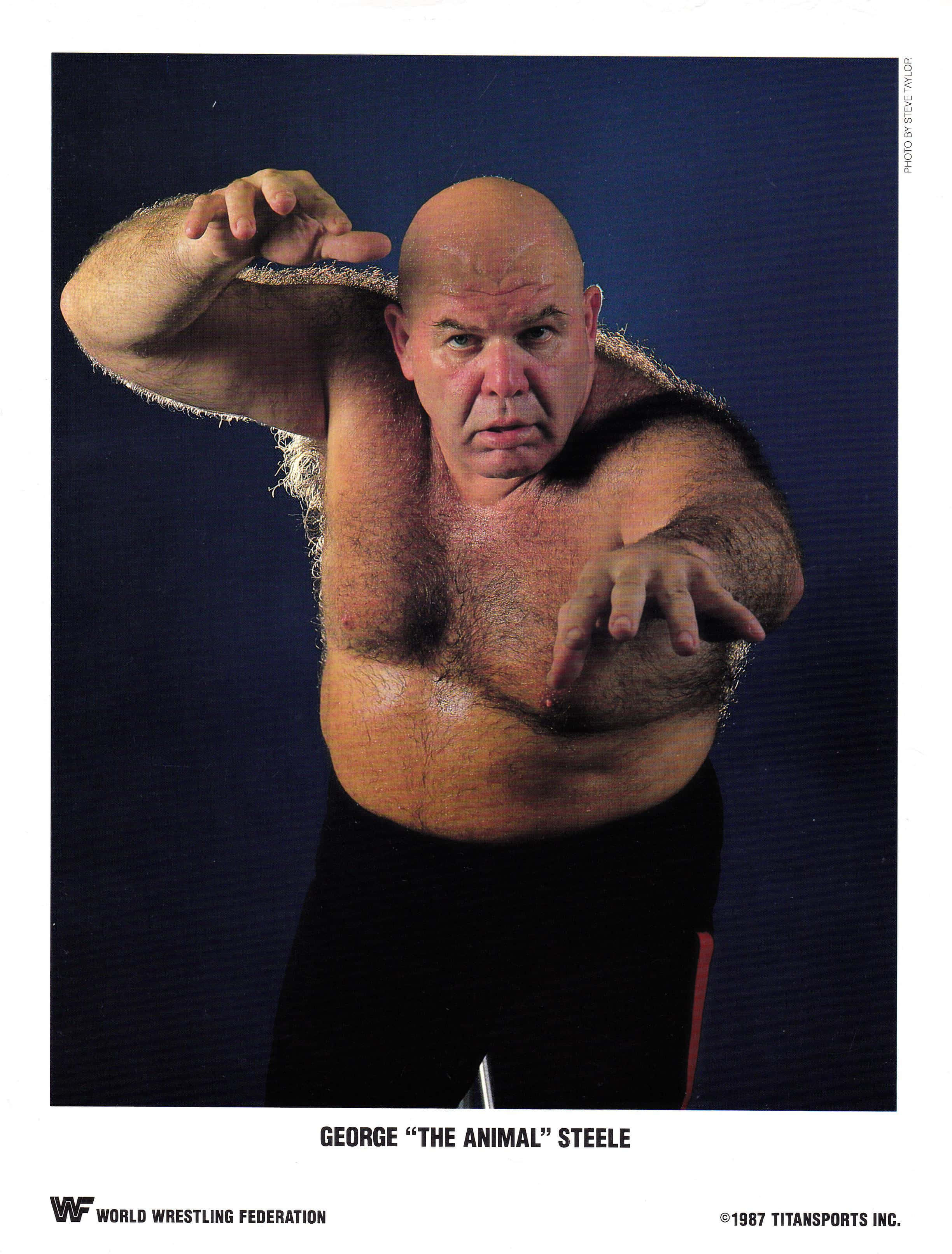 WWE 桌布 壁紙 — 光頭肌肉摔角選手 George 'The Animal' Steele 在深藍色攝影棚背景前，以強烈的面部表情擺出侵略性姿勢。