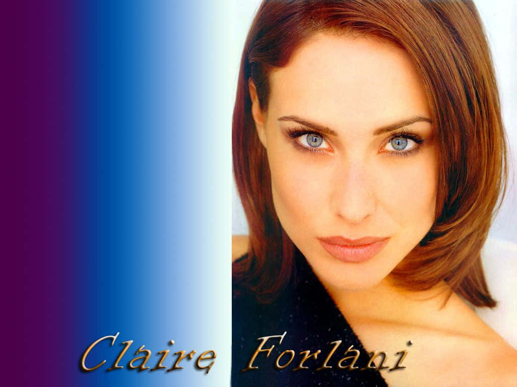 Claire Forlani 桌布 壁紙 — 克萊爾·福拉尼的特寫肖像，擁有引人注目的藍色眼睛和棕色頭髮，背景為漸層紫藍色。
