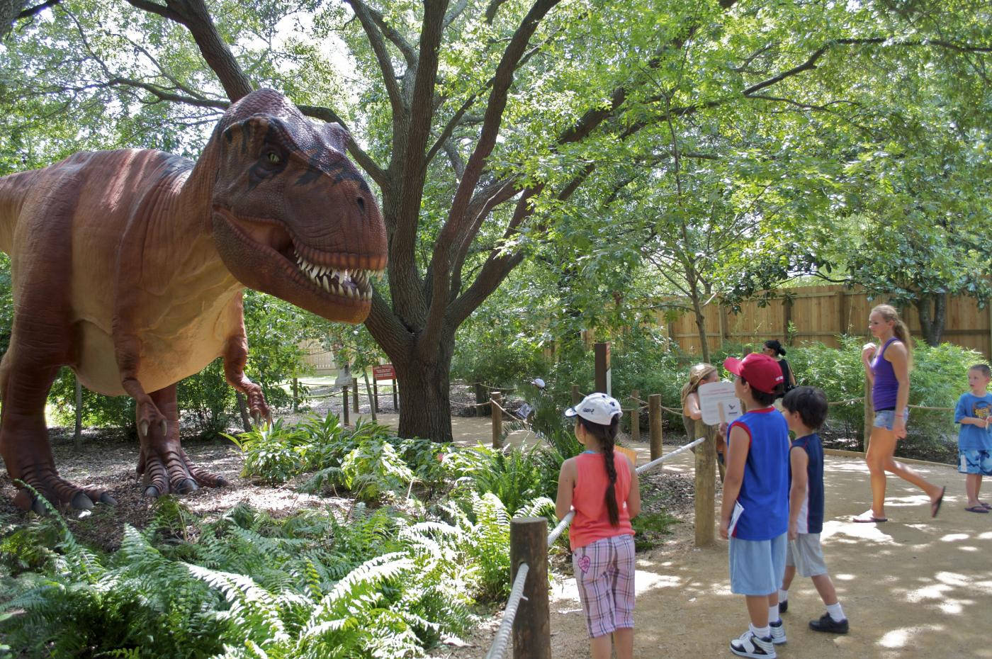 Smithsonian 桌布 壁紙 — 兒童和成人在陽光明媚的日子裡探索一個位於茂密綠樹和蕨類植物中的逼真暴龍展覽。