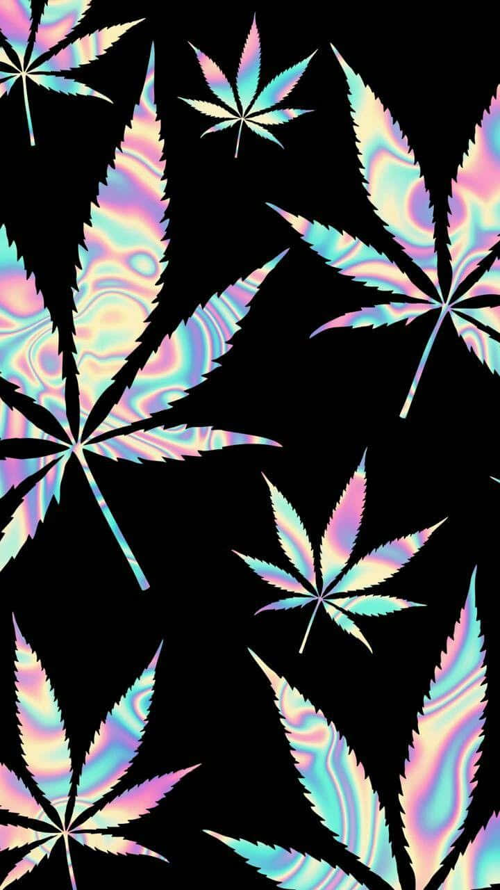 大麻 桌布 壁紙 — 全息大麻葉在純黑背景上閃爍著彩虹般的虹彩。