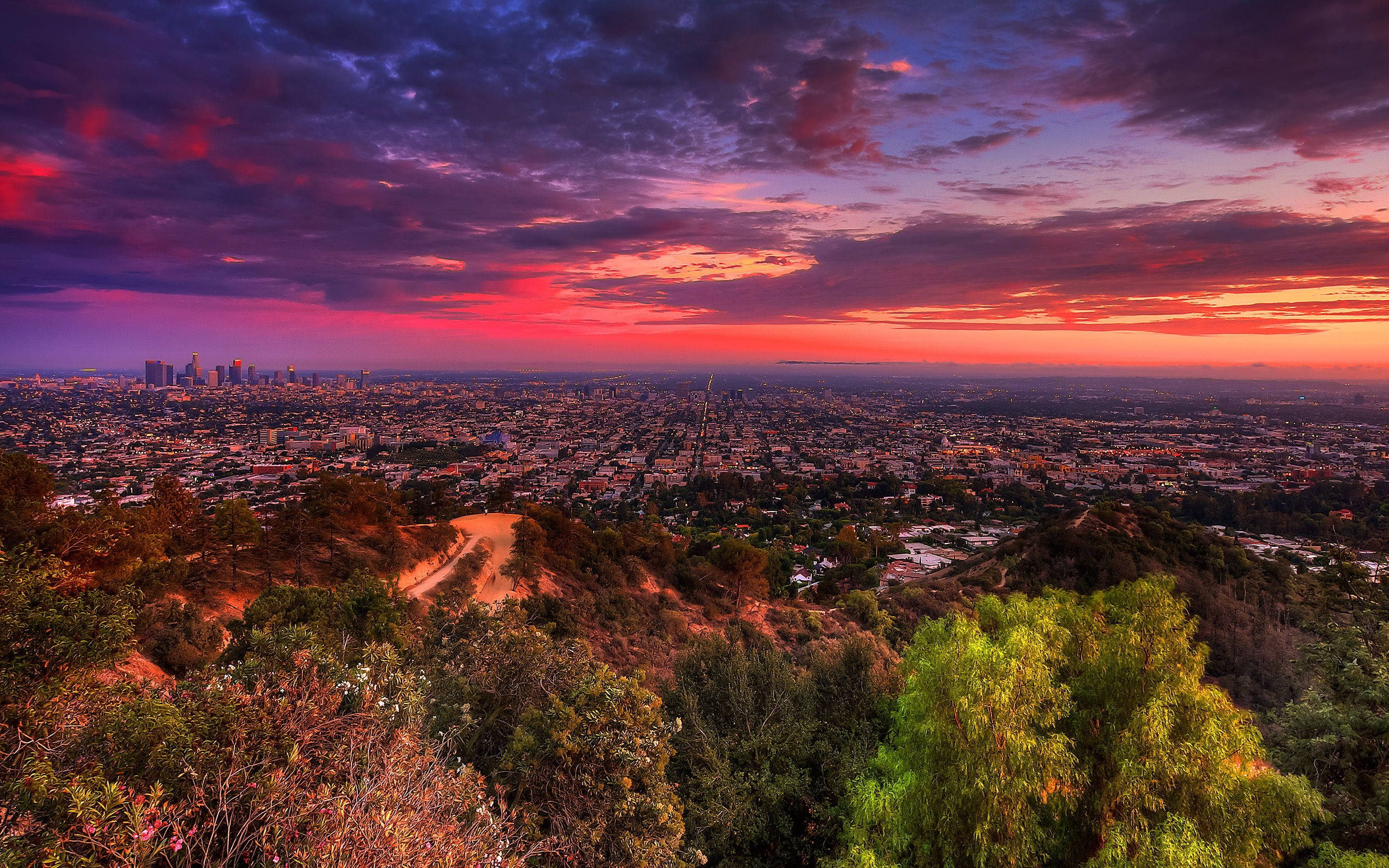 Los Angeles Sunset 桌布 壁紙 — 全景日落，廣闊城市景觀，前景茂密綠葉上方有火紅和紫色的雲彩。