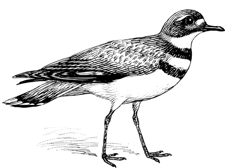 全黑螢幕無畫面 壁紙