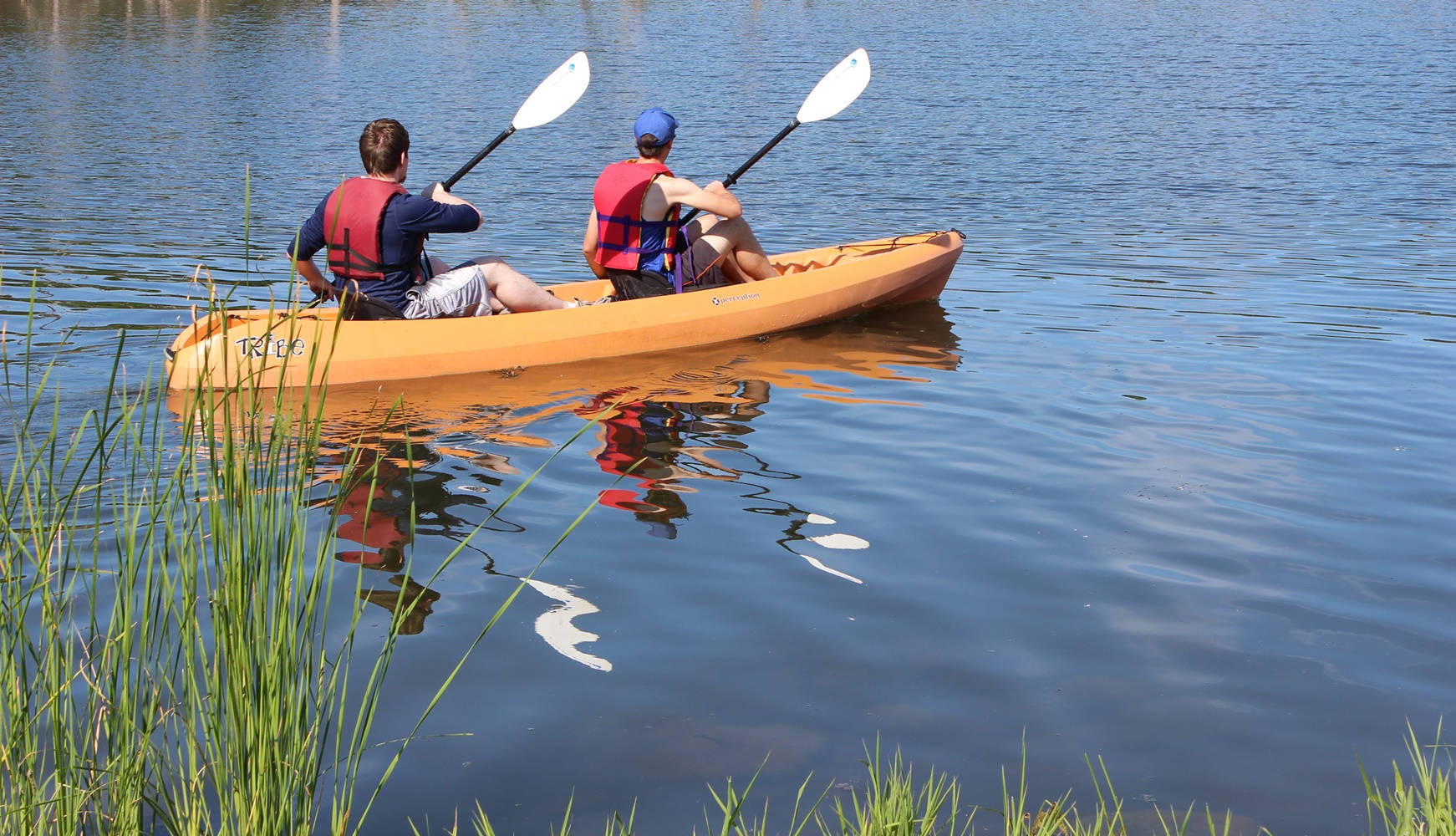 Rowing 桌布 壁紙 — 兩人在晴朗的日光下，在平靜的藍色水面上划著鮮橙色的獨木舟，周圍是綠色的蘆葦。