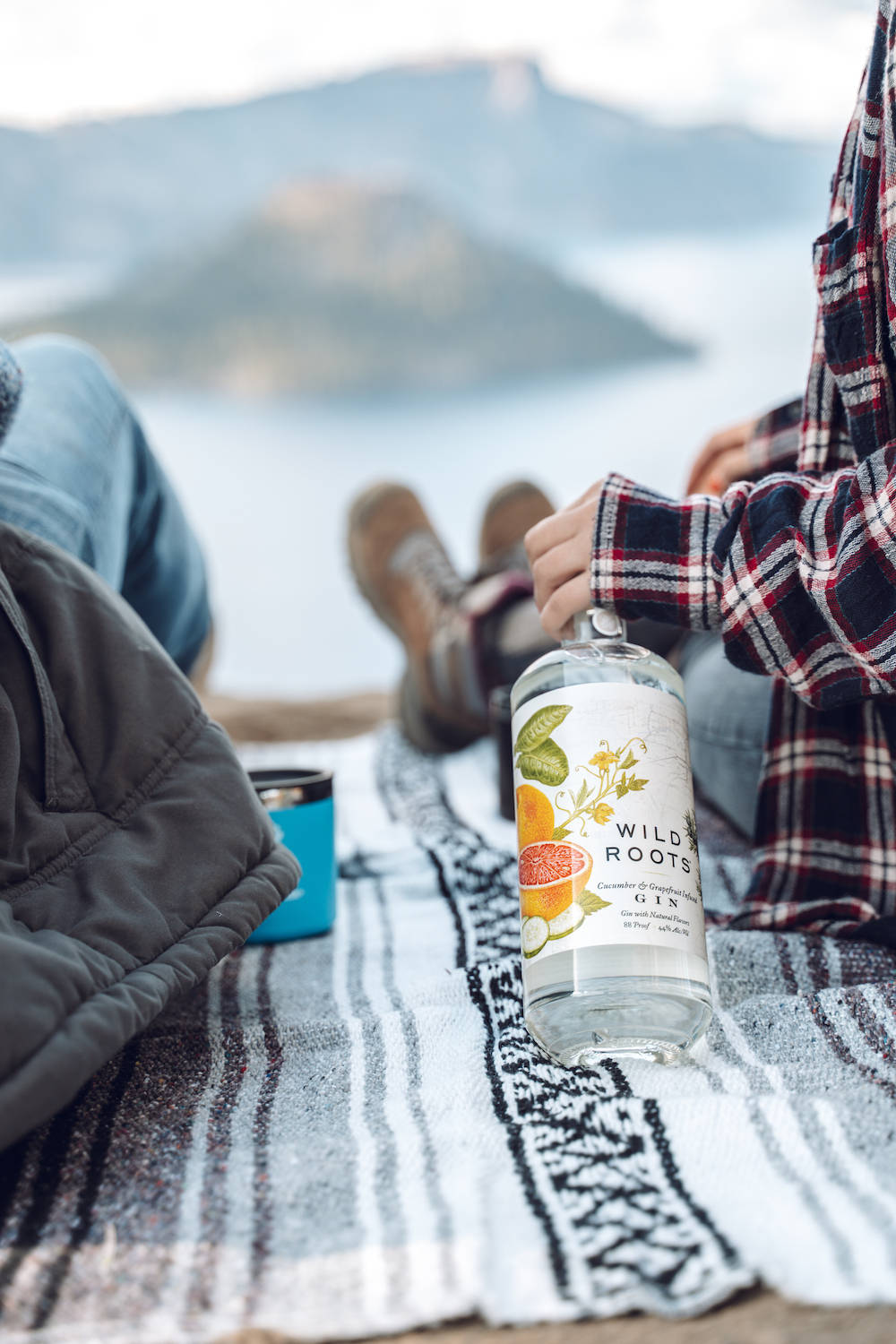 bottle 桌布 壁紙 — 兩人在湖邊放鬆，背景有山，其中一人手持琴酒瓶放在圖案毯子上。