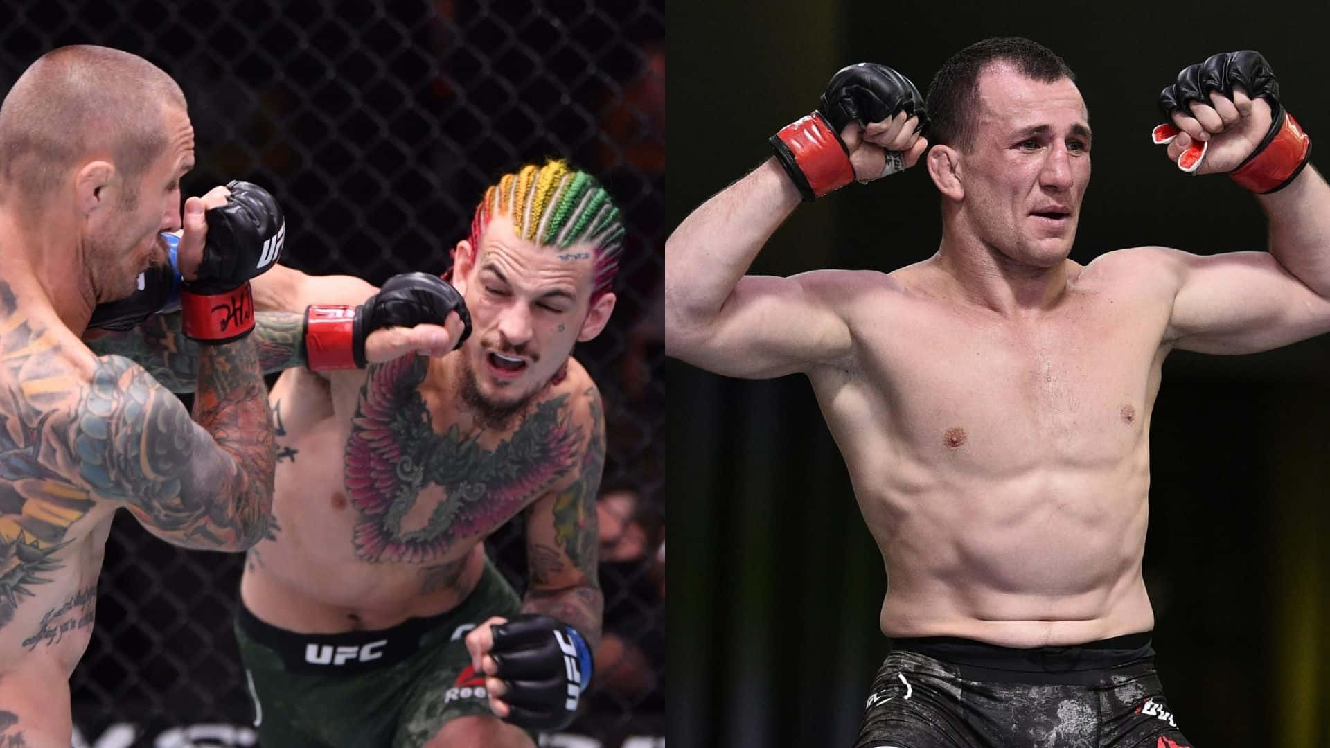 桌布 壁紙 — 兩位MMA拳手在八角籠中，一人正出拳，擁有彩虹色頭髮和紋身胸膛，另一人舉起雙臂慶祝勝利