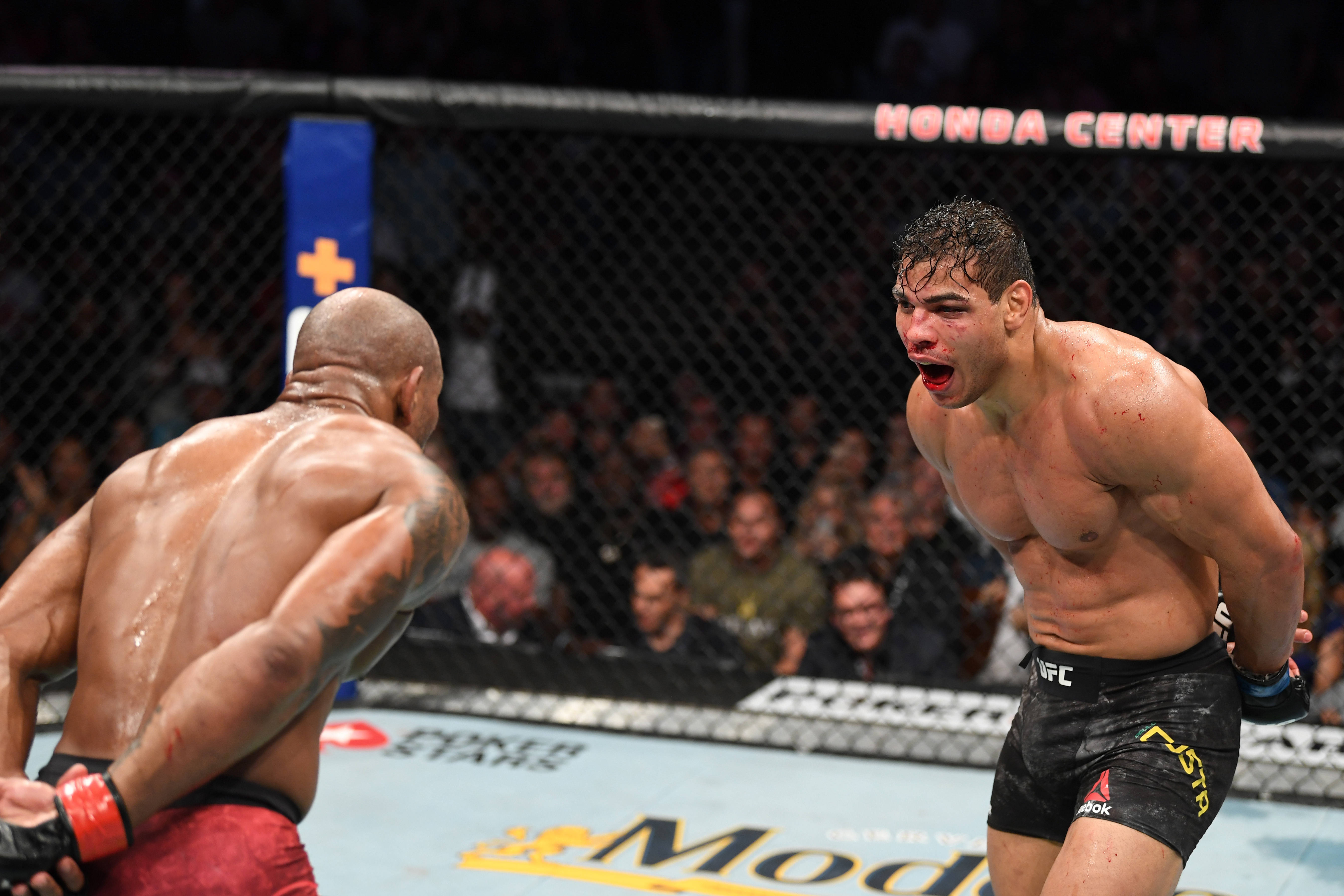 UFC 桌布 壁紙 — 兩位MMA拳手在明亮的場館燈光下，於鐵籠內進行激烈的籠鬥，圍欄後觀眾吶喊助威。
