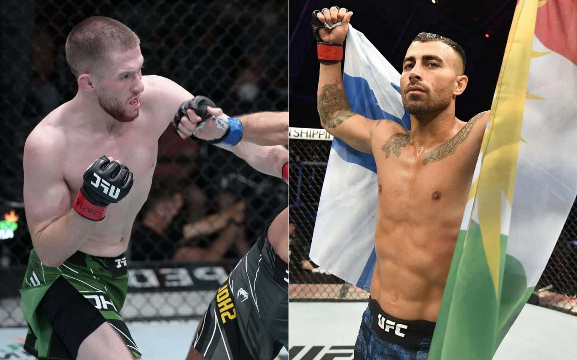 UFC 桌布 壁紙 — 兩位UFC拳手在八角籠中，一位正在出拳，另一位在場館燈光下舉旗勝利。