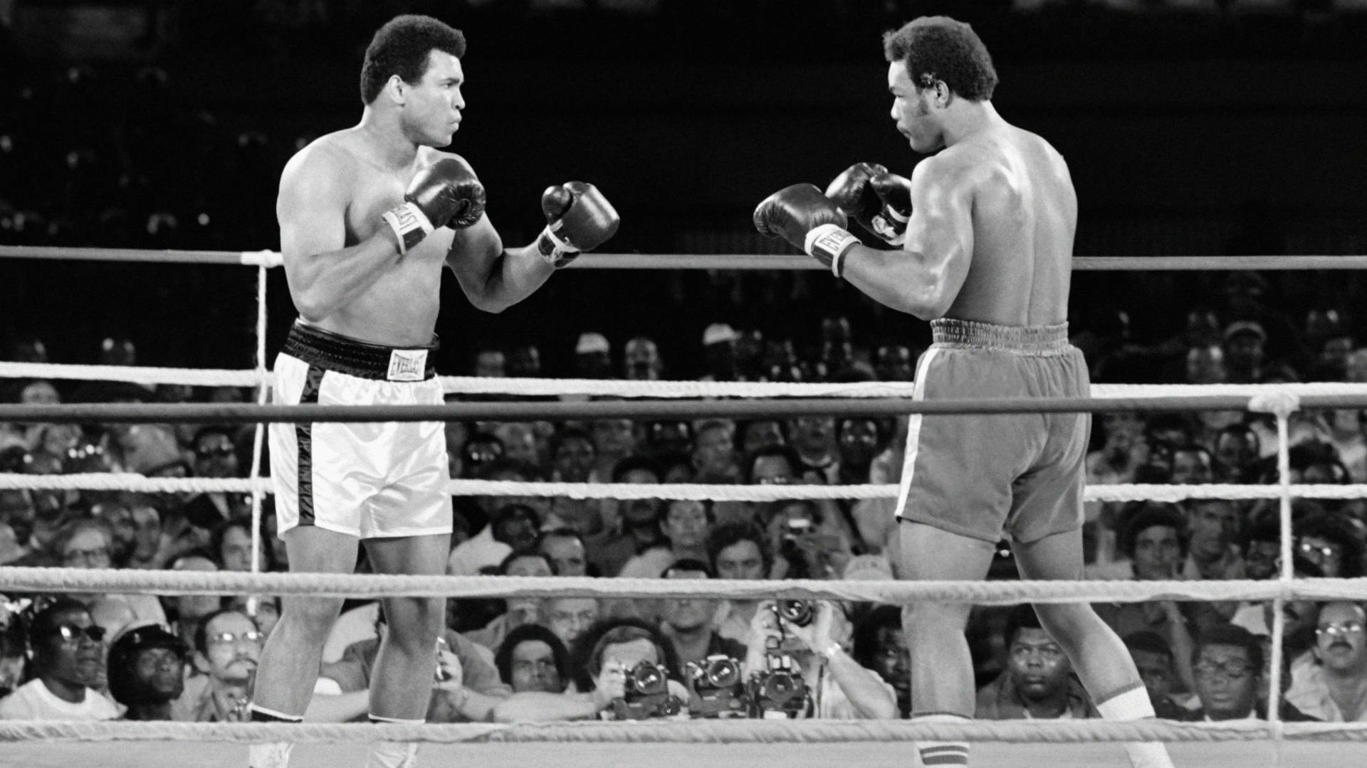 Boxing 桌布 壁紙 — 兩位傳奇拳擊手在擁擠的擂台上，在明亮的場館燈光下，於緊張的時刻對峙。