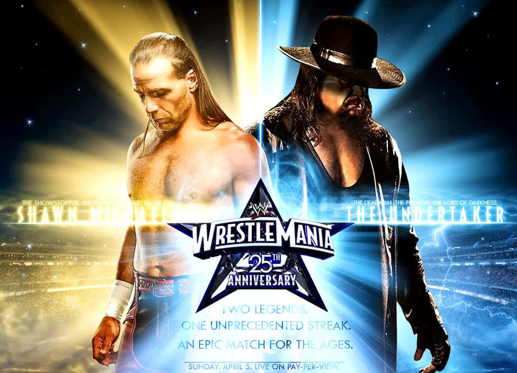 摔角 桌布 壁紙 — 兩位傳奇摔角手Shawn Michaels和The Undertaker在WrestleMania 25的戲劇性對立光束中站立。