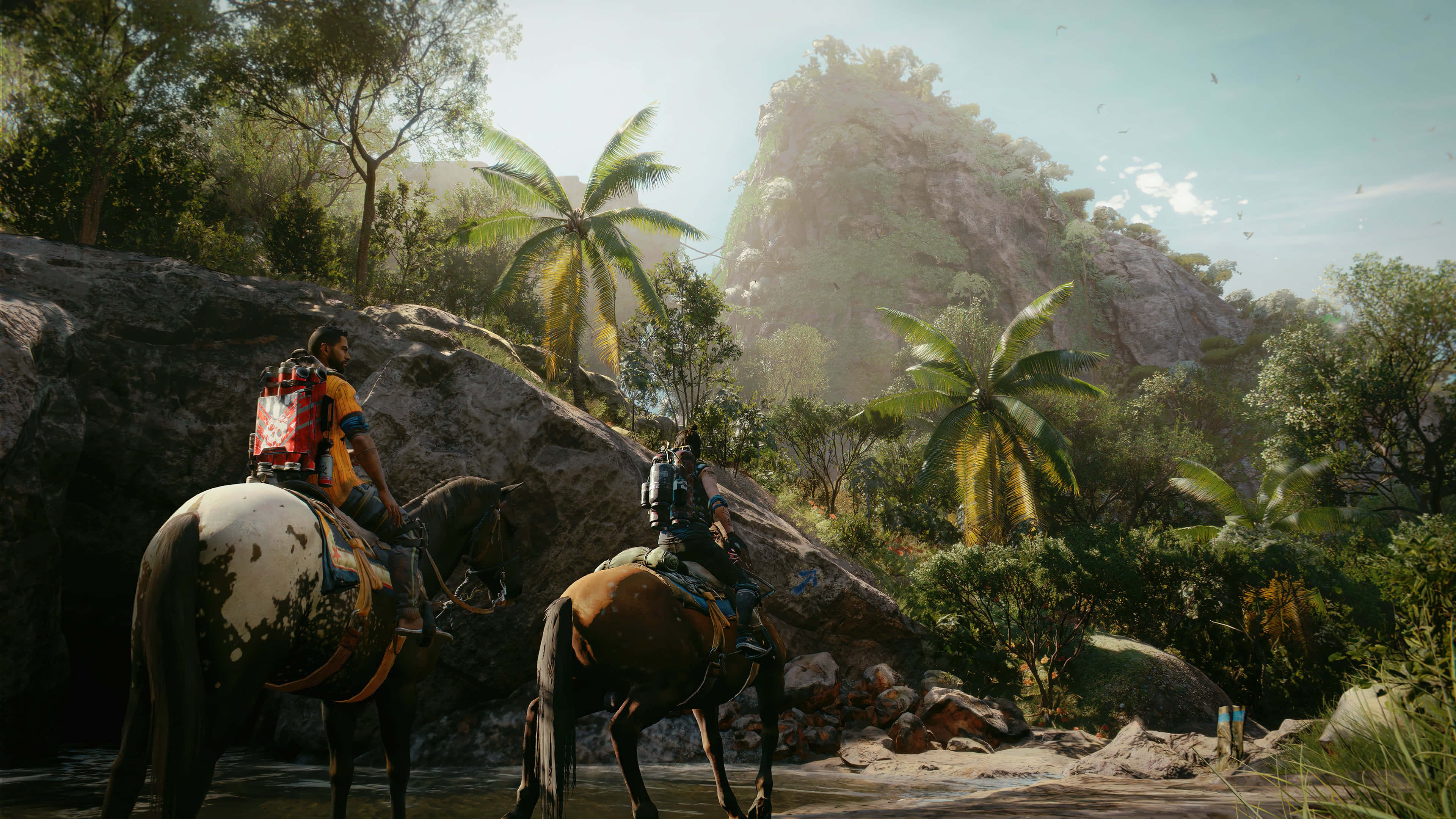 Far Cry 桌布 壁紙 — 兩位冒險家騎著馬穿過陽光明媚的熱帶叢林，沿途有棕櫚樹和岩石峭壁。