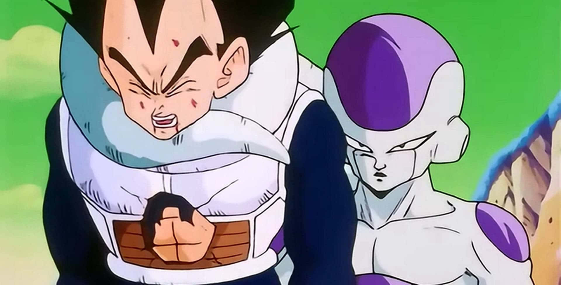 Vegeta And Frieza 桌布 壁紙 — 兩位動漫戰士在綠色天空和岩石懸崖前對峙，表情激烈。