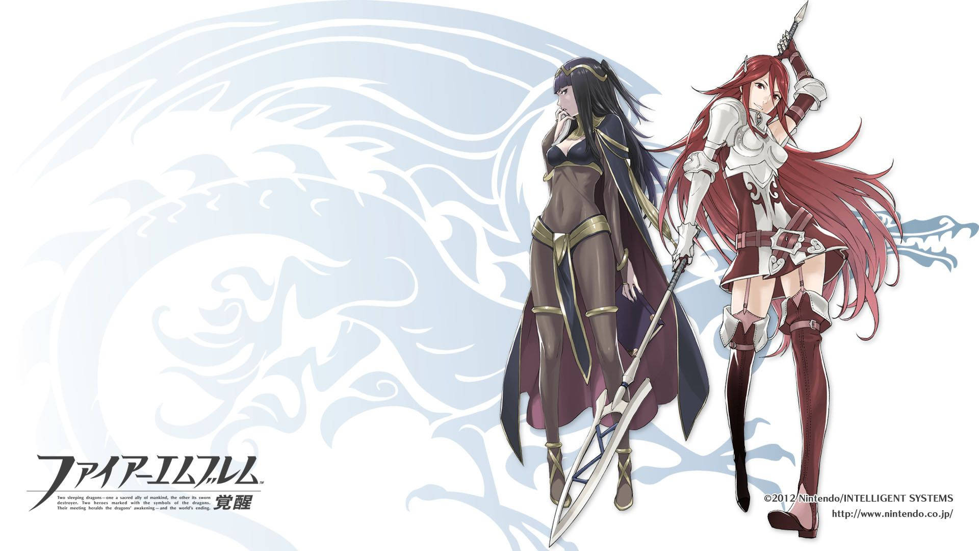 兩位身穿盔甲的動漫女戰士手持劍，背景為龍紋圖案。 — Fire Emblem Warriors 壁紙
