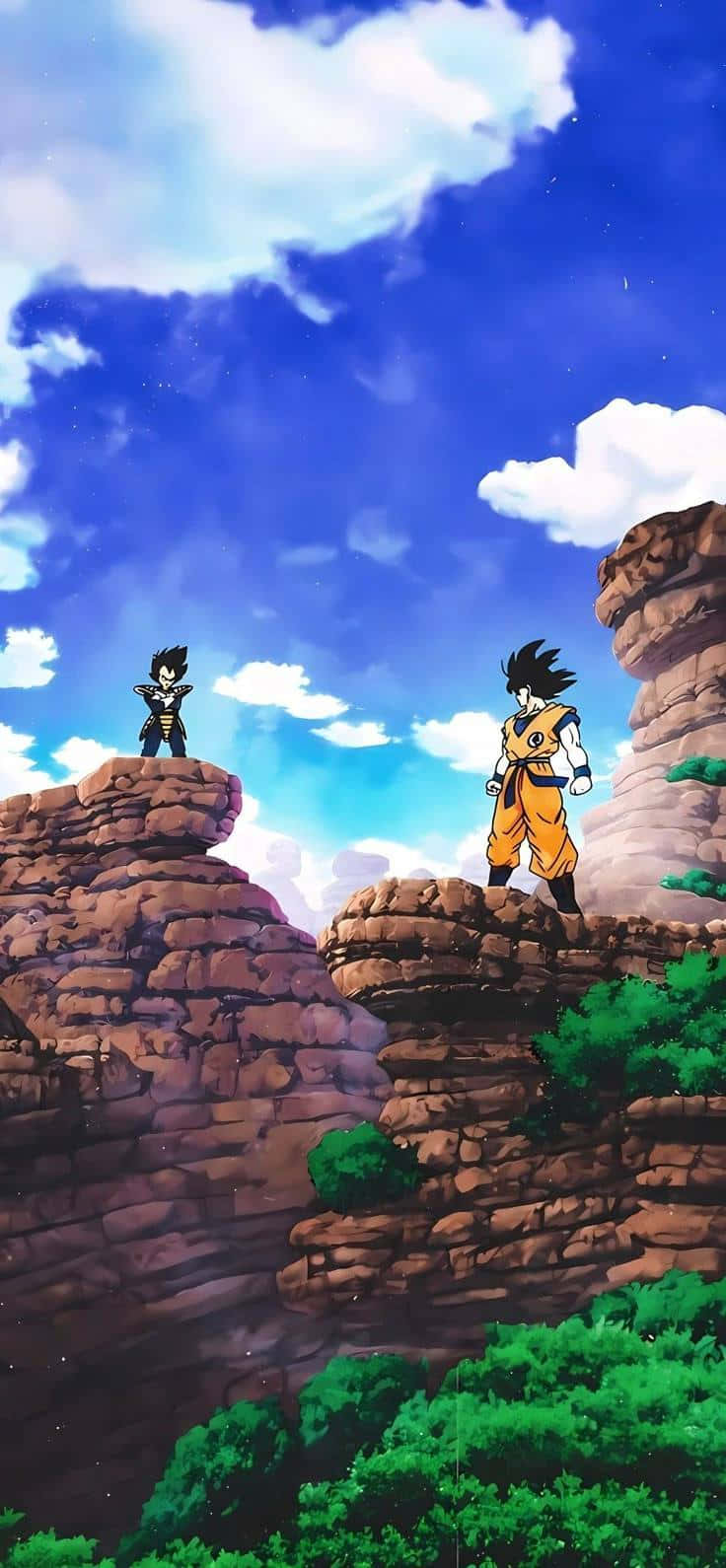dragon ball 壁紙 — 兩位動漫戰士站在岩石懸崖上，下方是廣闊的藍天、蓬鬆的白雲和綠色植物。