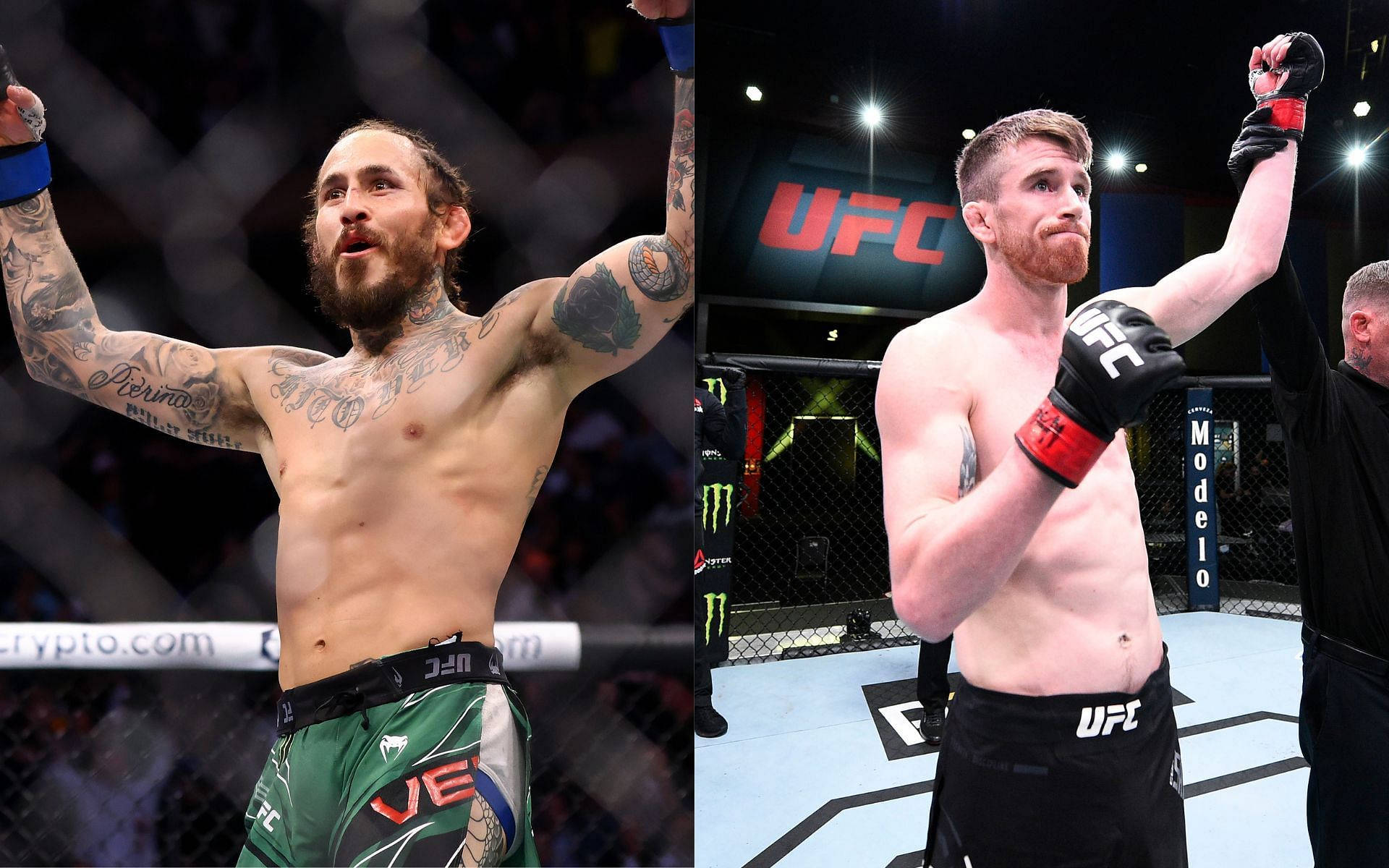 UFC 桌布 壁紙 — 兩位勝利的UFC拳手在八角籠內舉起雙臂，在明亮的場館燈光下慶祝。
