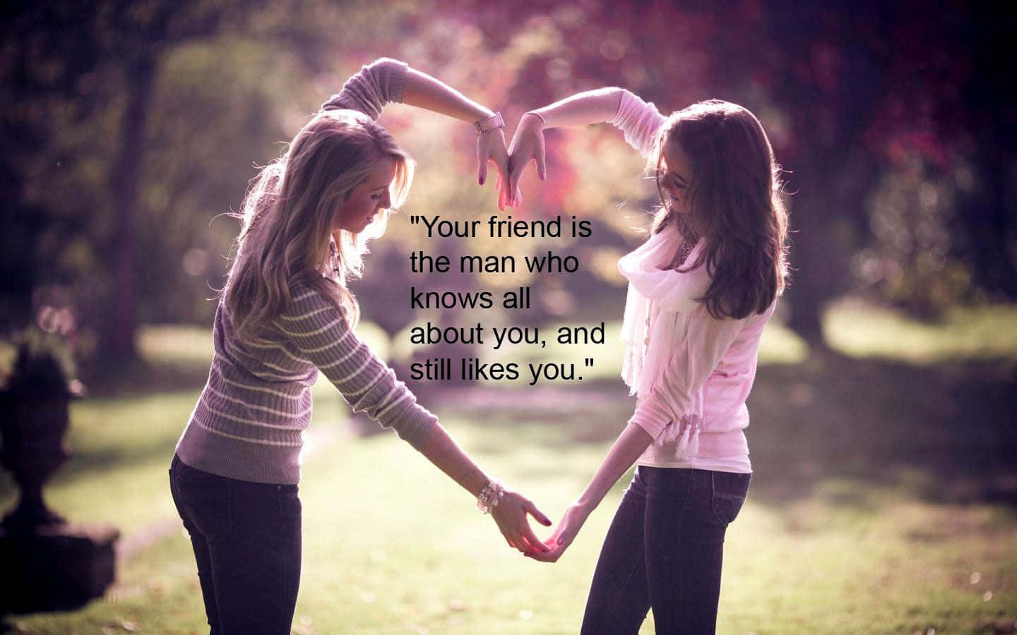 Friendship 桌布 壁紙 — 兩位女士在陽光明媚的公園裡用手組成心形，同時牽手並低頭看。