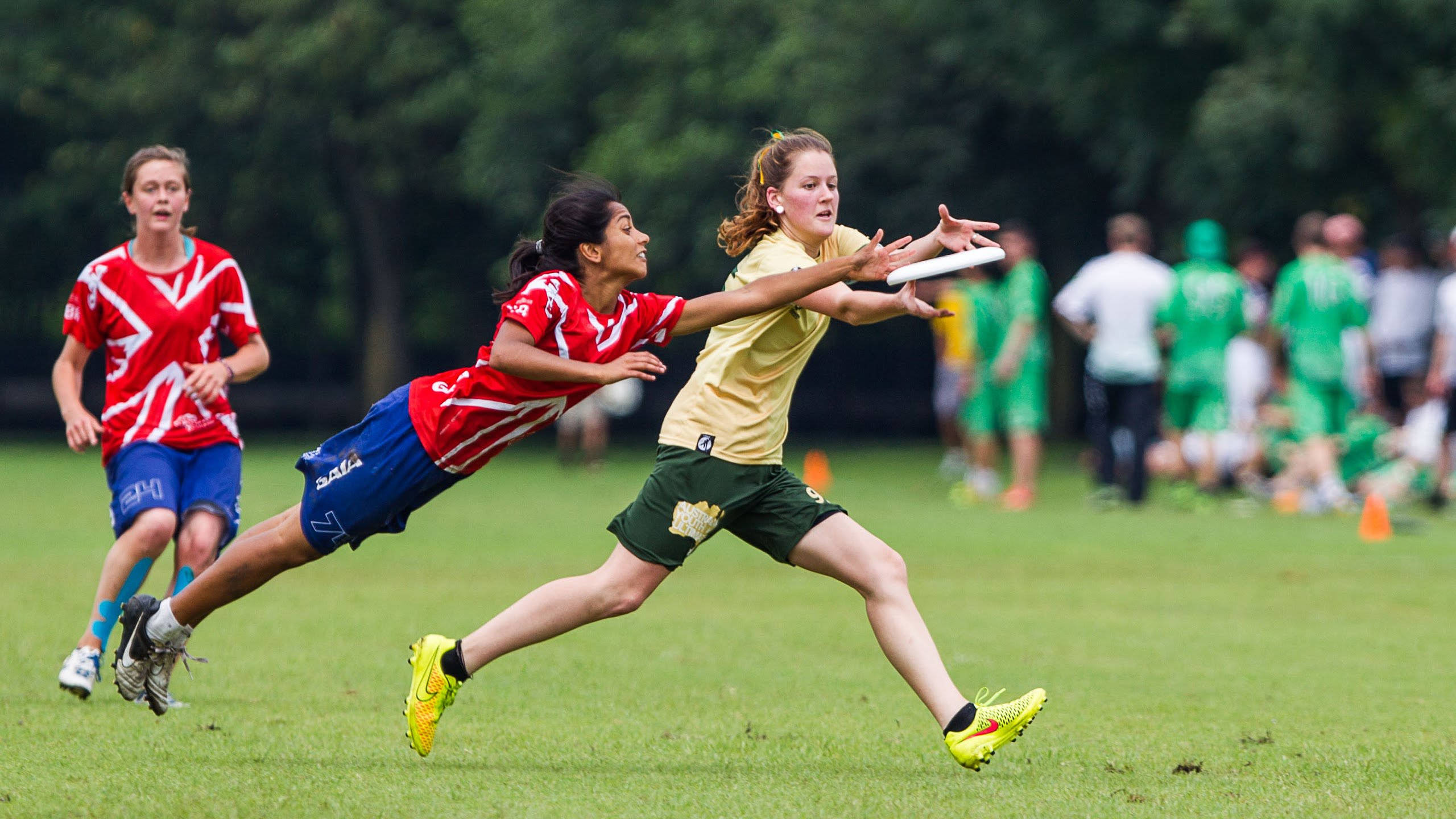 Ultimate Frisbee 桌布 壁紙 — 兩位女運動員在明亮的日光下，於草地上進行激烈的飛盤比賽，飛身撲向飛盤。