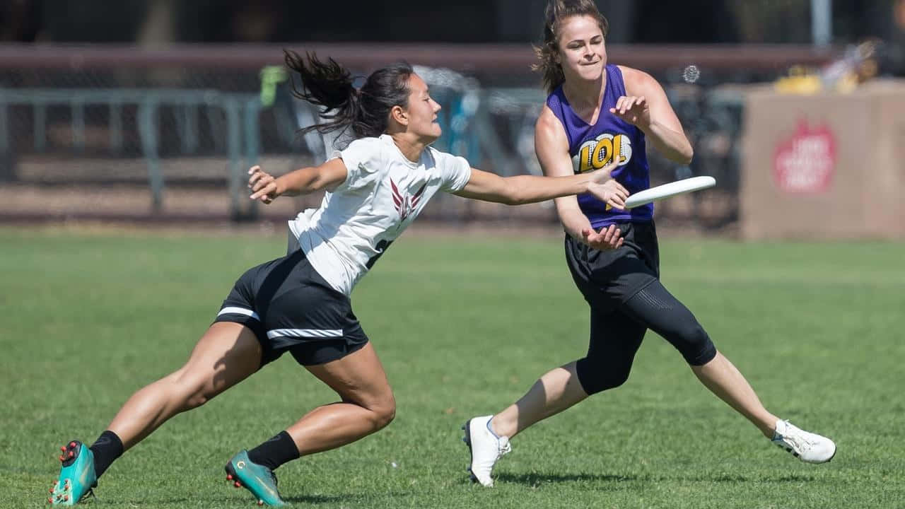 運動 桌布 壁紙 — 兩位女運動員在陽光照耀的草地上激烈競爭，其中一人撲身攔截飛行的飛盤。
