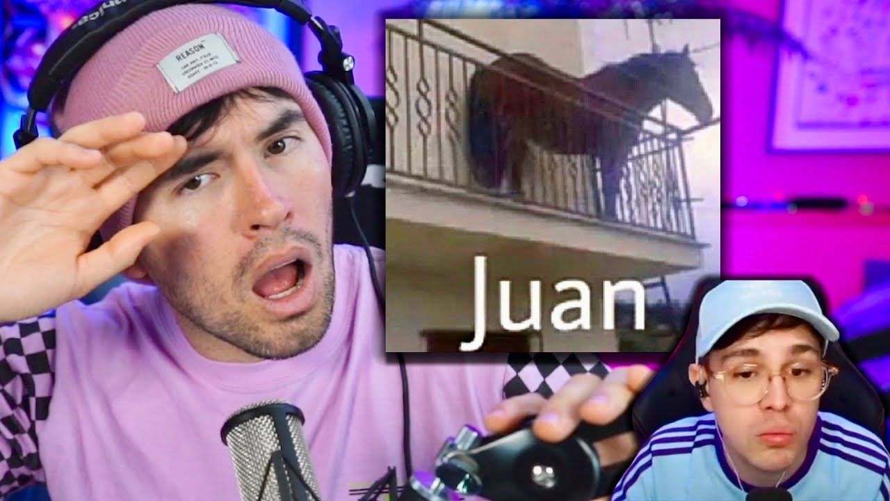 YouTube縮圖 桌布 壁紙 — 兩位實況主對一段馬匹站在標有Juan的陽台上的片段感到震驚。