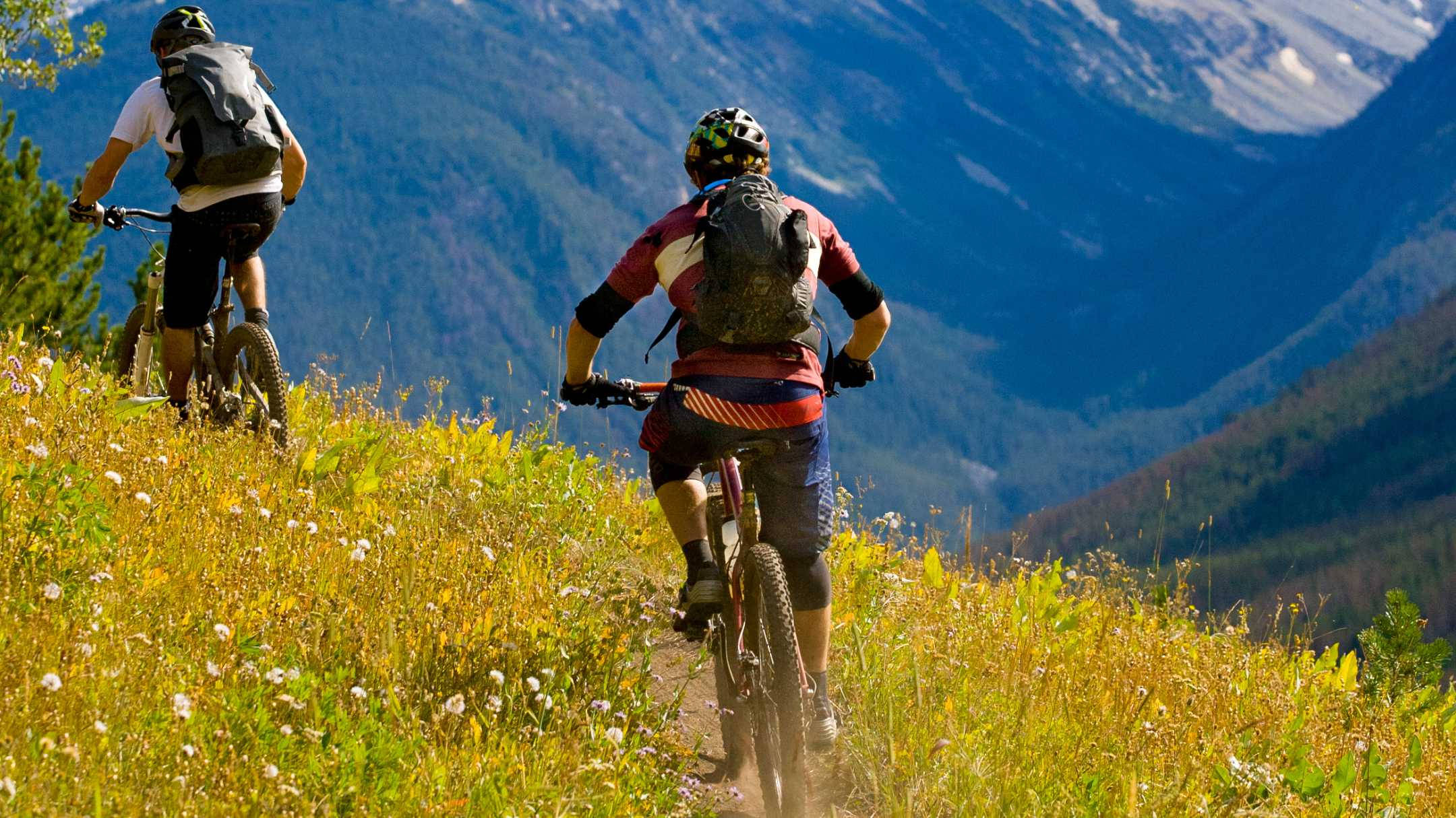 Mountain Bike 桌布 壁紙 — 兩位山地車手騎行在陽光明媚的野花草甸上，身後是雄偉的藍色山脈。