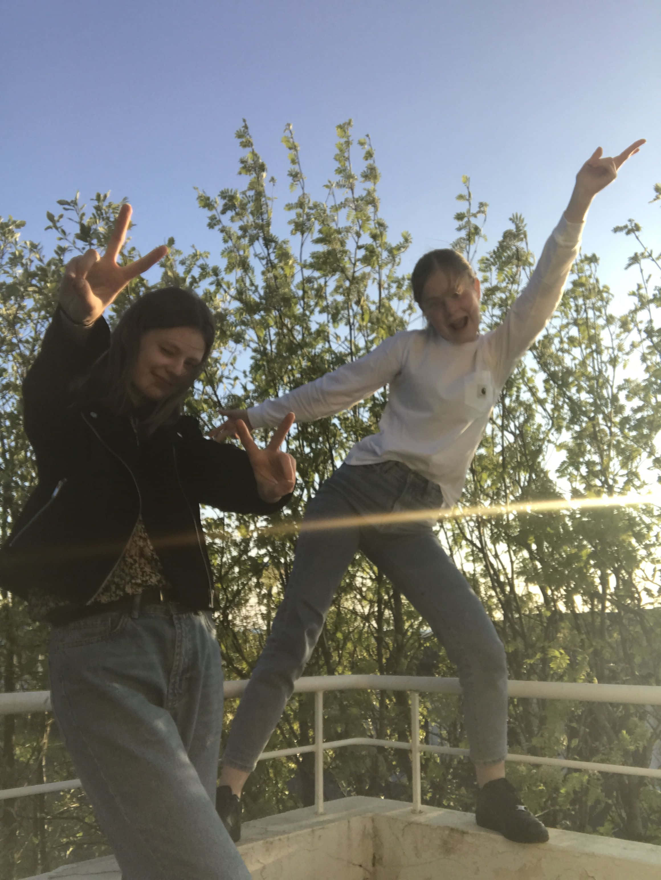 friend 桌布 壁紙 — 兩位快樂的朋友在天台欄杆上擺出俏皮姿勢，背景是綠樹和晴朗的藍天。
