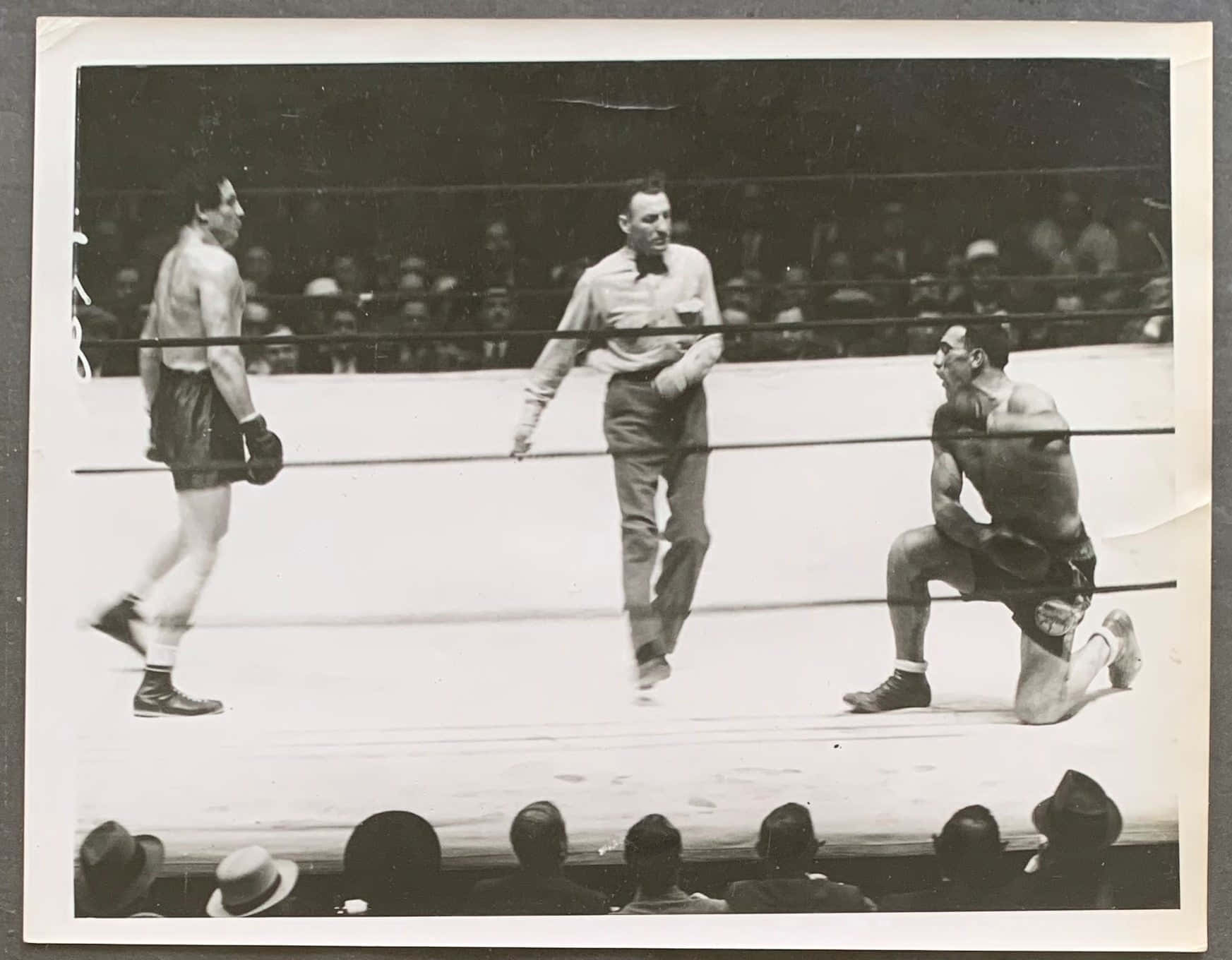 Boxing 桌布 壁紙 — 兩位拳擊手在復古擂台上，一位站立，一位跪地，裁判監督，觀眾專注觀看。