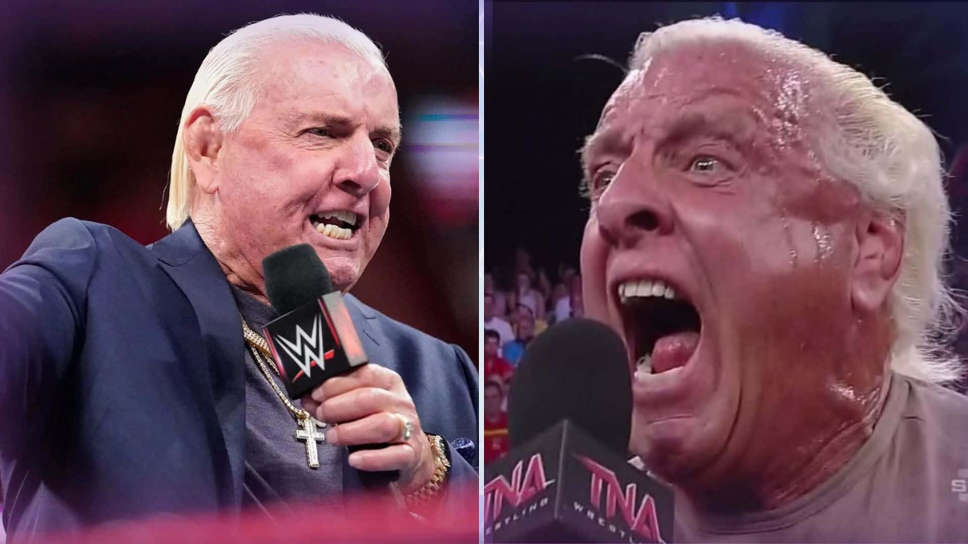 WWE 桌布 壁紙 — 兩位摔角傳奇在現場活動中激情地對著麥克風大喊，表情激烈。