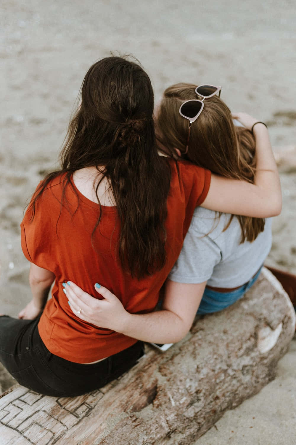 Friends 桌布 壁紙 — 兩位朋友從後擁抱，坐在沙灘上風化的木頭上。