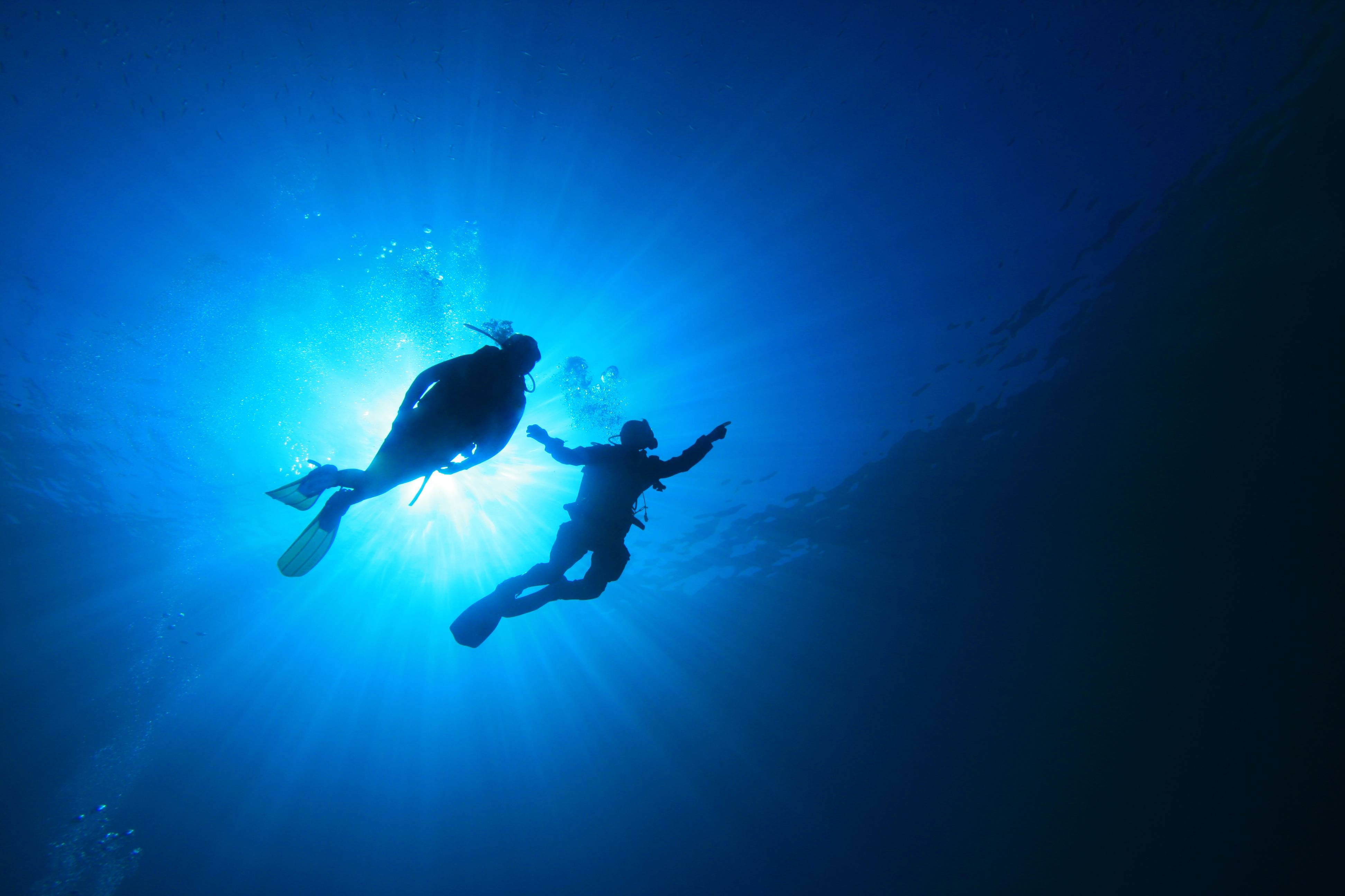 Snorkeling 桌布 壁紙 — 兩位水肺潛水員在穿透深藍色海水的燦爛陽光中形成剪影。