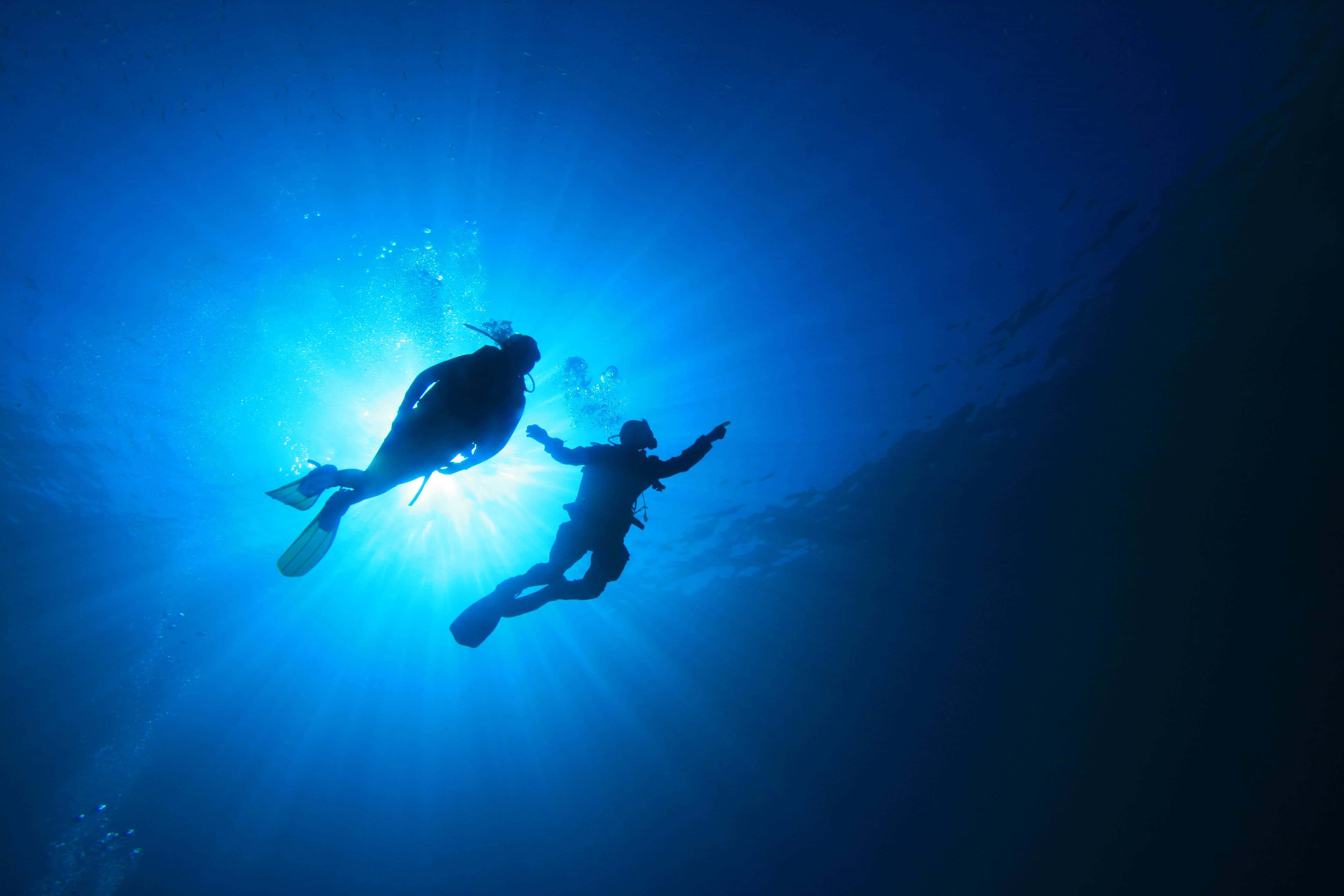 diving 桌布 壁紙 — 兩位水肺潛水員在穿透深藍色海水的燦爛陽光中形成剪影。