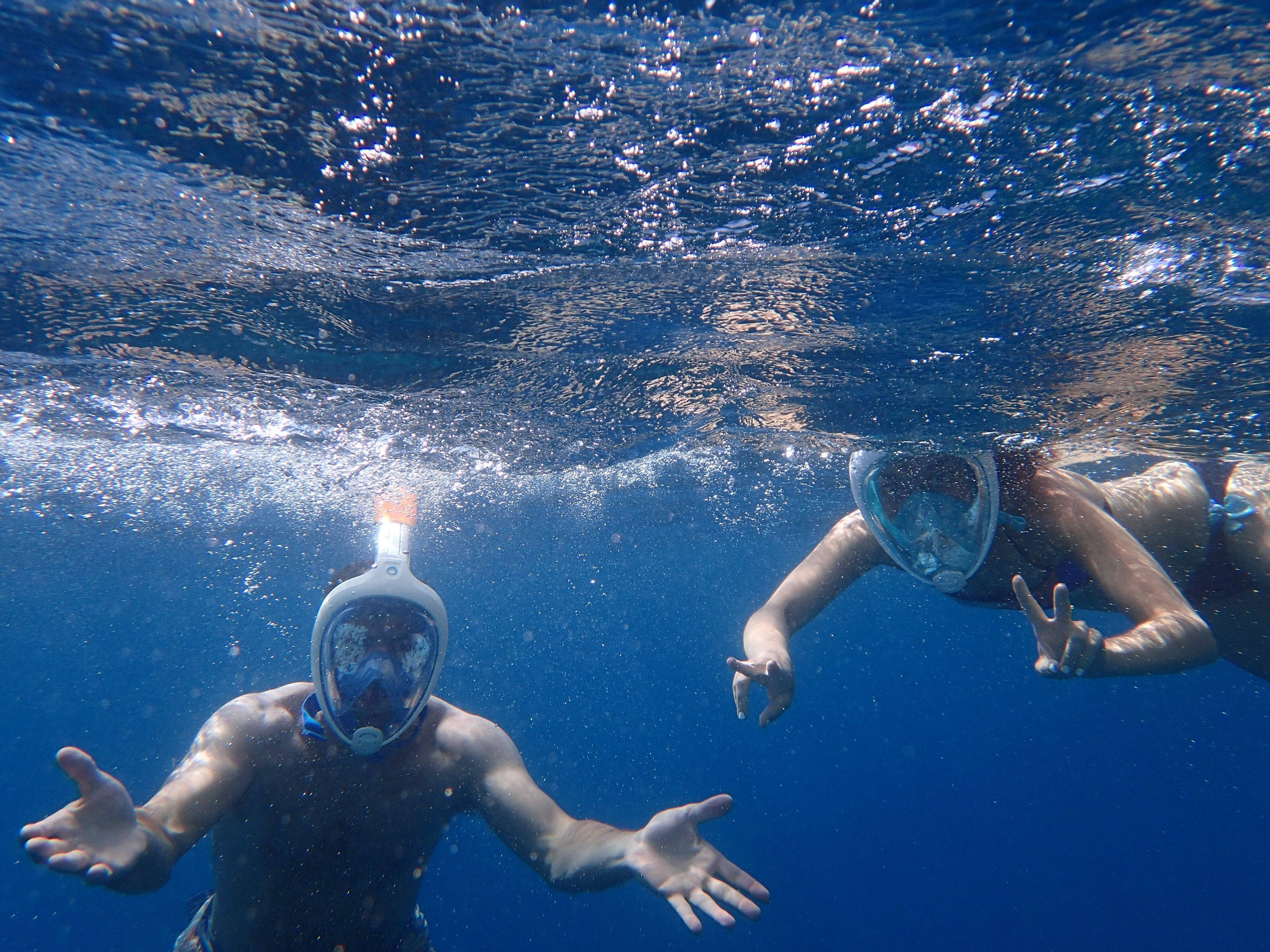 Snorkeling 桌布 壁紙 — 兩位浮潛者在清澈的藍色海洋中探索，陽光穿透水面。