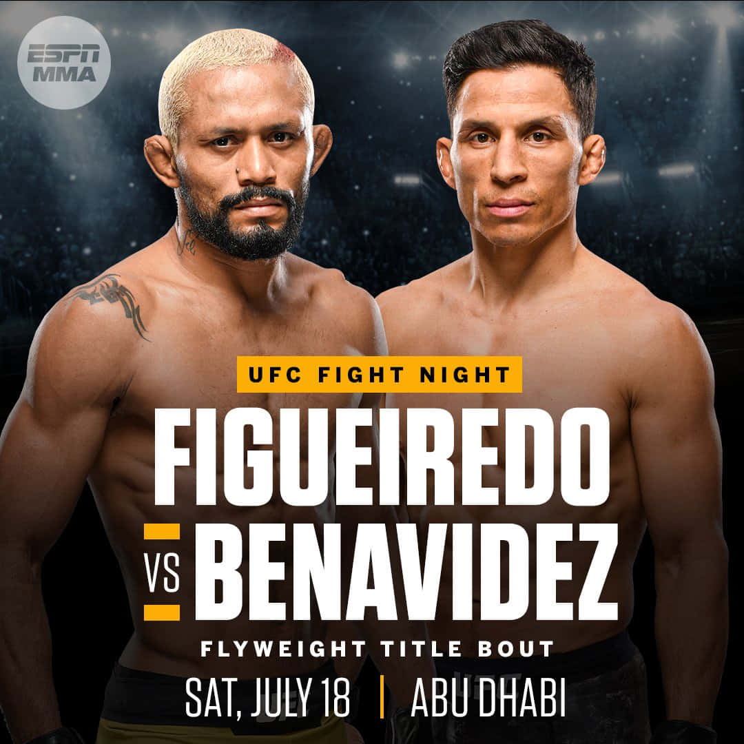 MMA 桌布 壁紙 — 兩位激烈的MMA拳手在UFC蠅量級冠軍賽的宣傳海報中，在戲劇性的場館燈光下互相凝視。