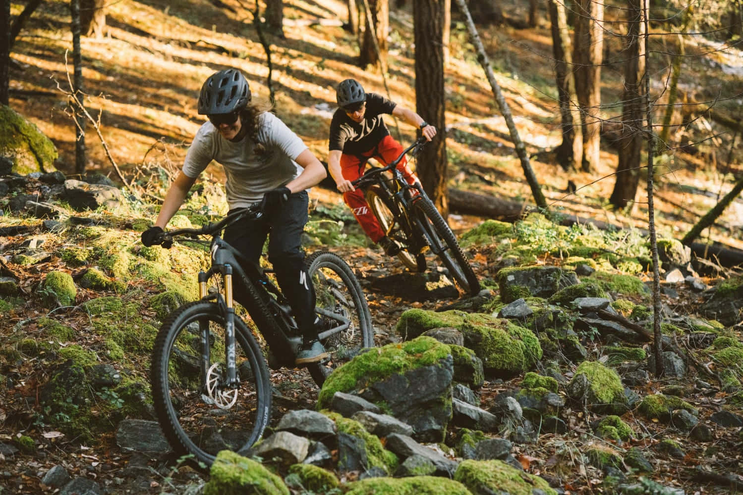 Mountain Bike 桌布 壁紙 — 兩位登山車騎士在岩石森林小徑上行駛，小徑沐浴在午後金色陽光中，陽光穿過高大的樹木灑落。
