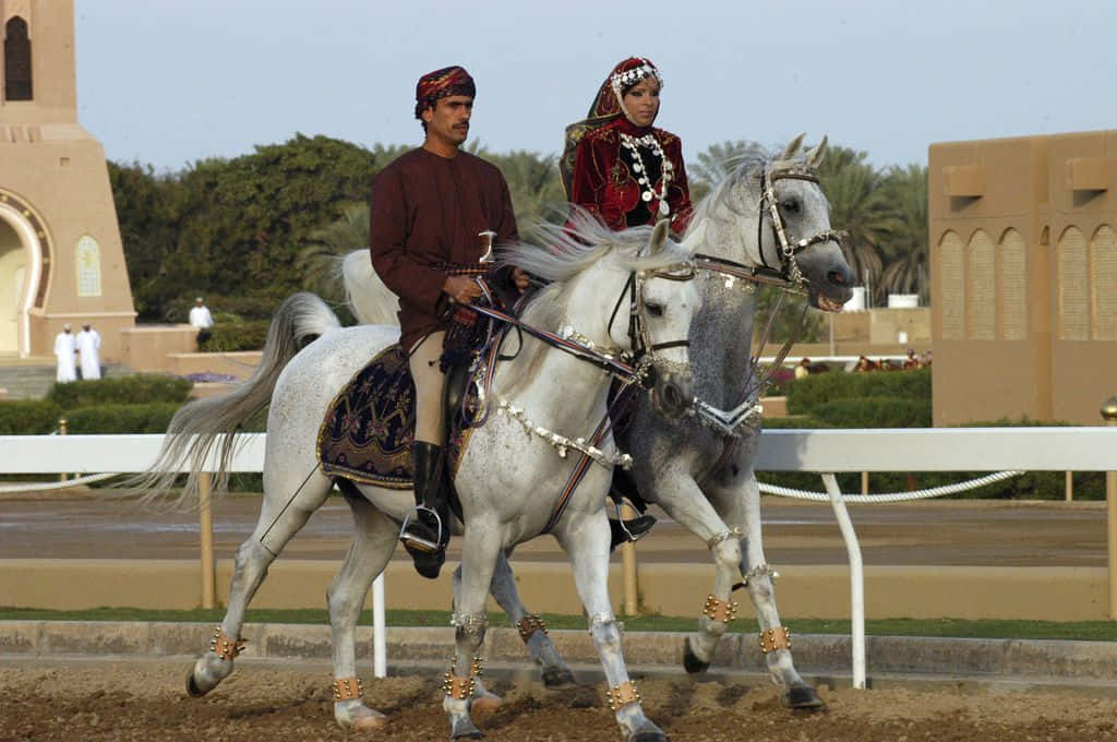 Arabian Horse 桌布 壁紙 — 兩位穿著傳統服飾、裝飾優雅的騎手，在陽光明媚的沙漠賽道上引領著裝飾華麗的白色阿拉伯馬。