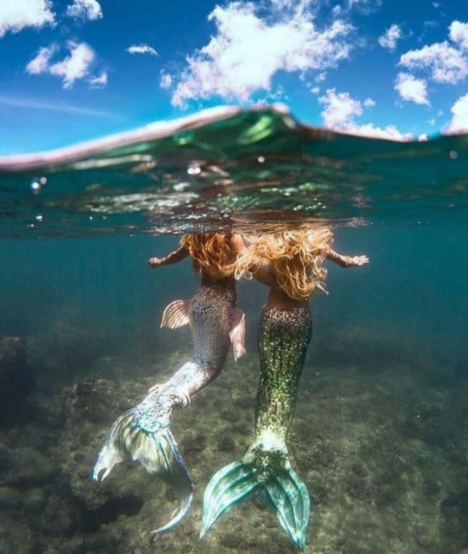 美人魚 桌布 壁紙 — 兩位紅髮飄逸的美人魚在陽光普照的海底附近游泳，上方是藍天白雲。