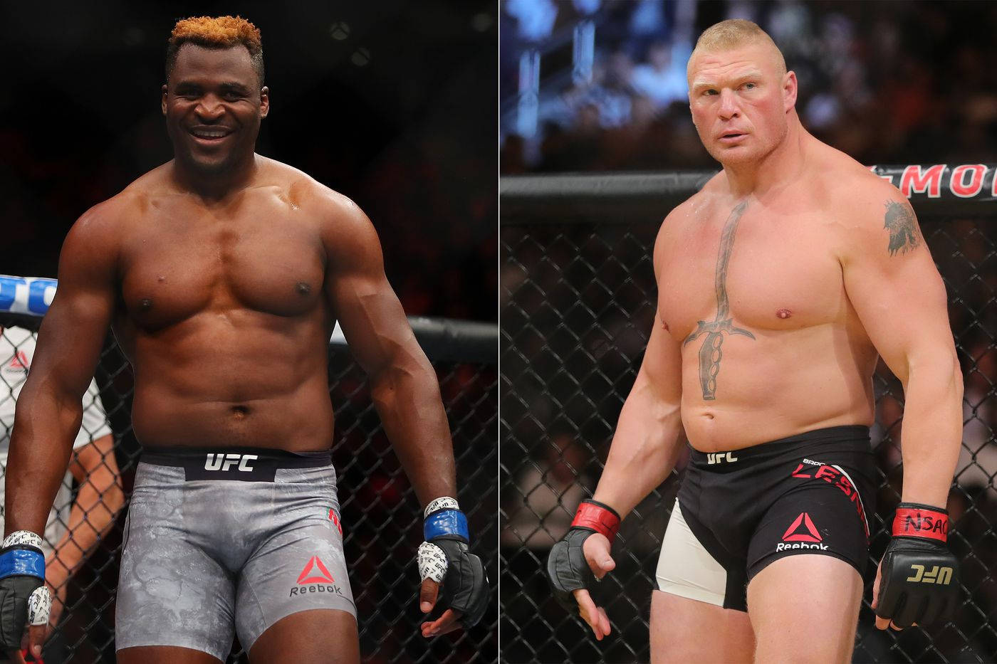 MMA 桌布 壁紙 — 兩位肌肉發達的UFC拳手站在八角籠內，一位笑容燦爛，另一位神情專注。